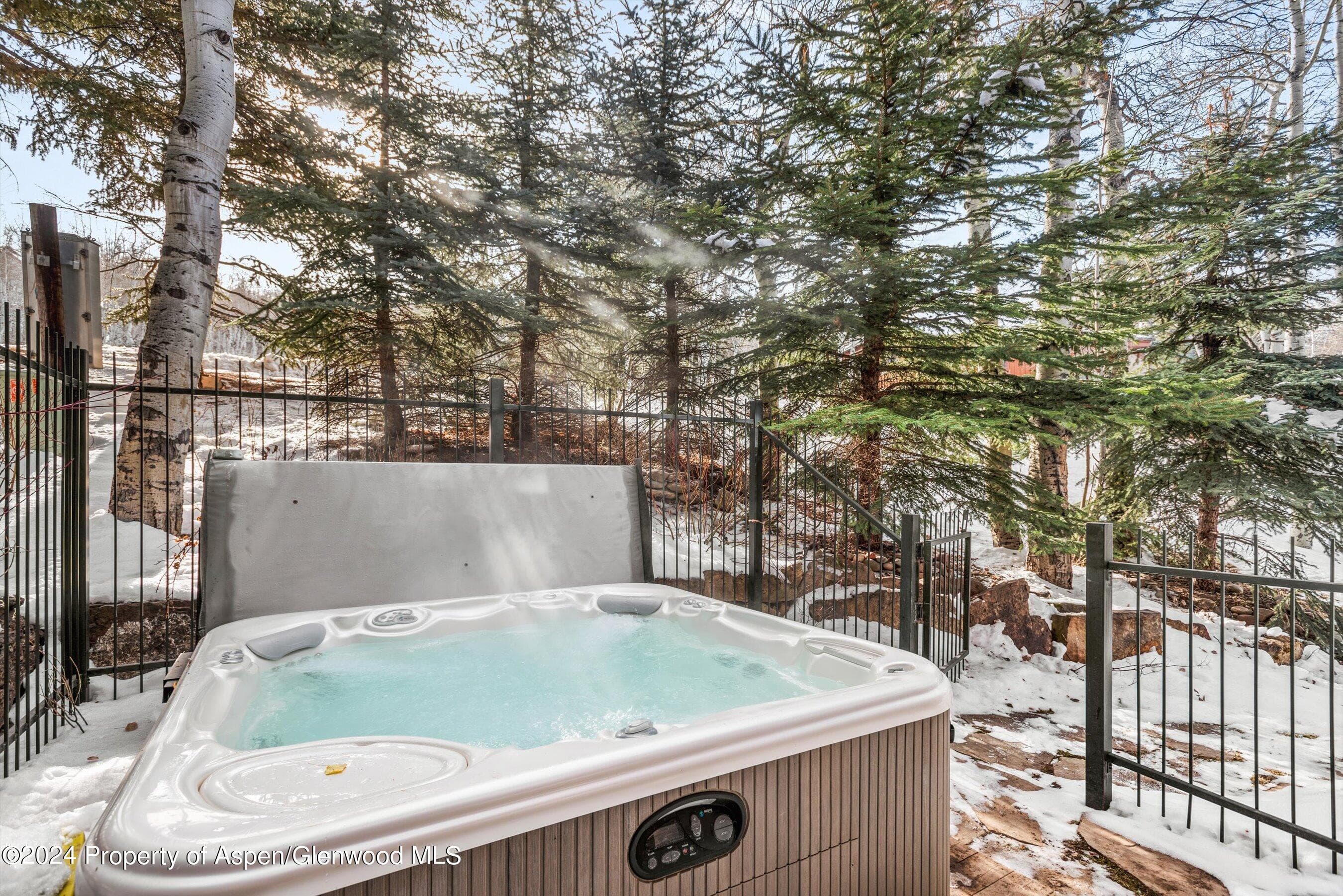 227 Faraway Road 38, Snowmass Village, CO 81615 - Photo 38