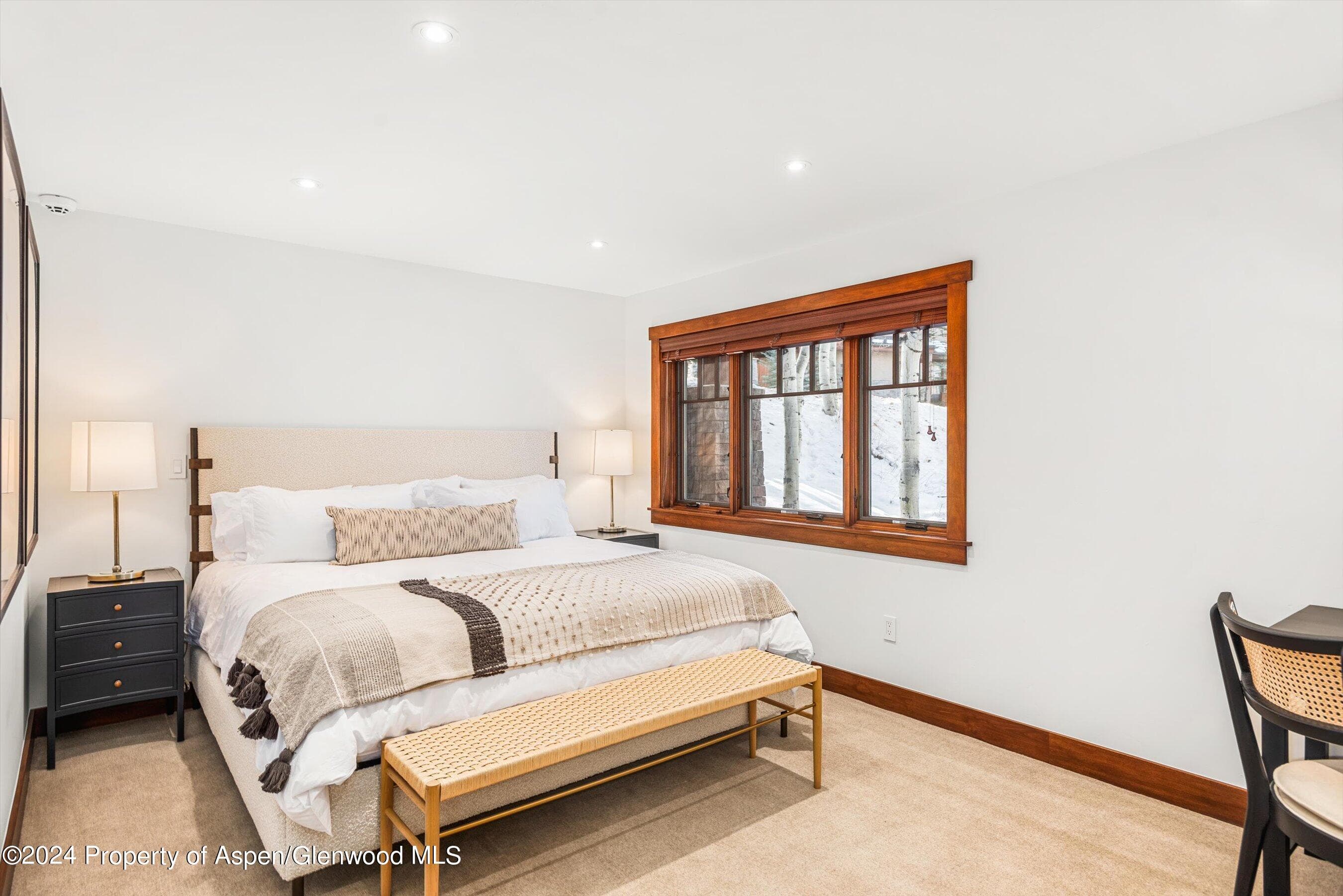 227 Faraway Road 38, Snowmass Village, CO 81615 - Photo 29