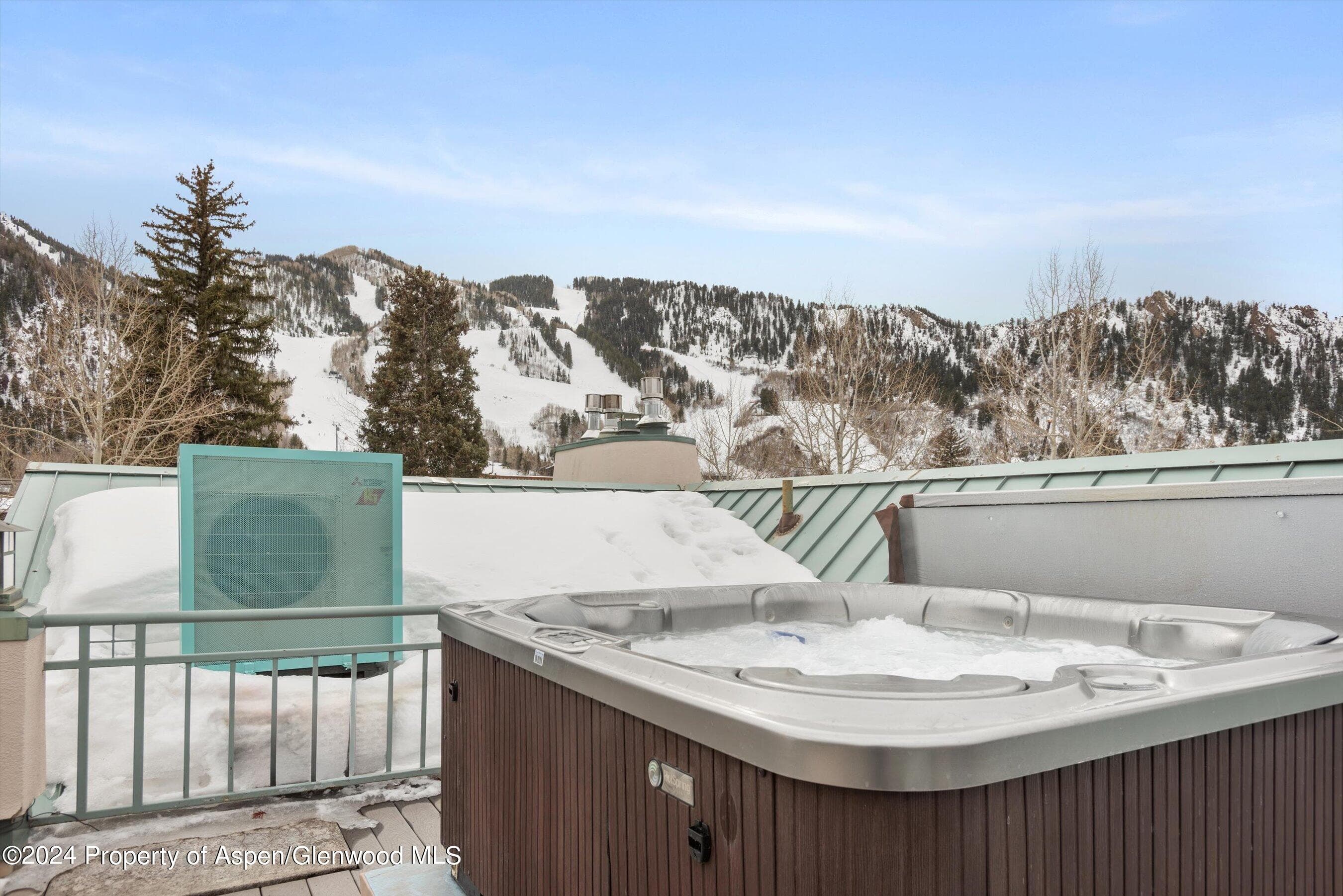 708 E Hopkins Avenue, Aspen, CO 81611 - Photo 6