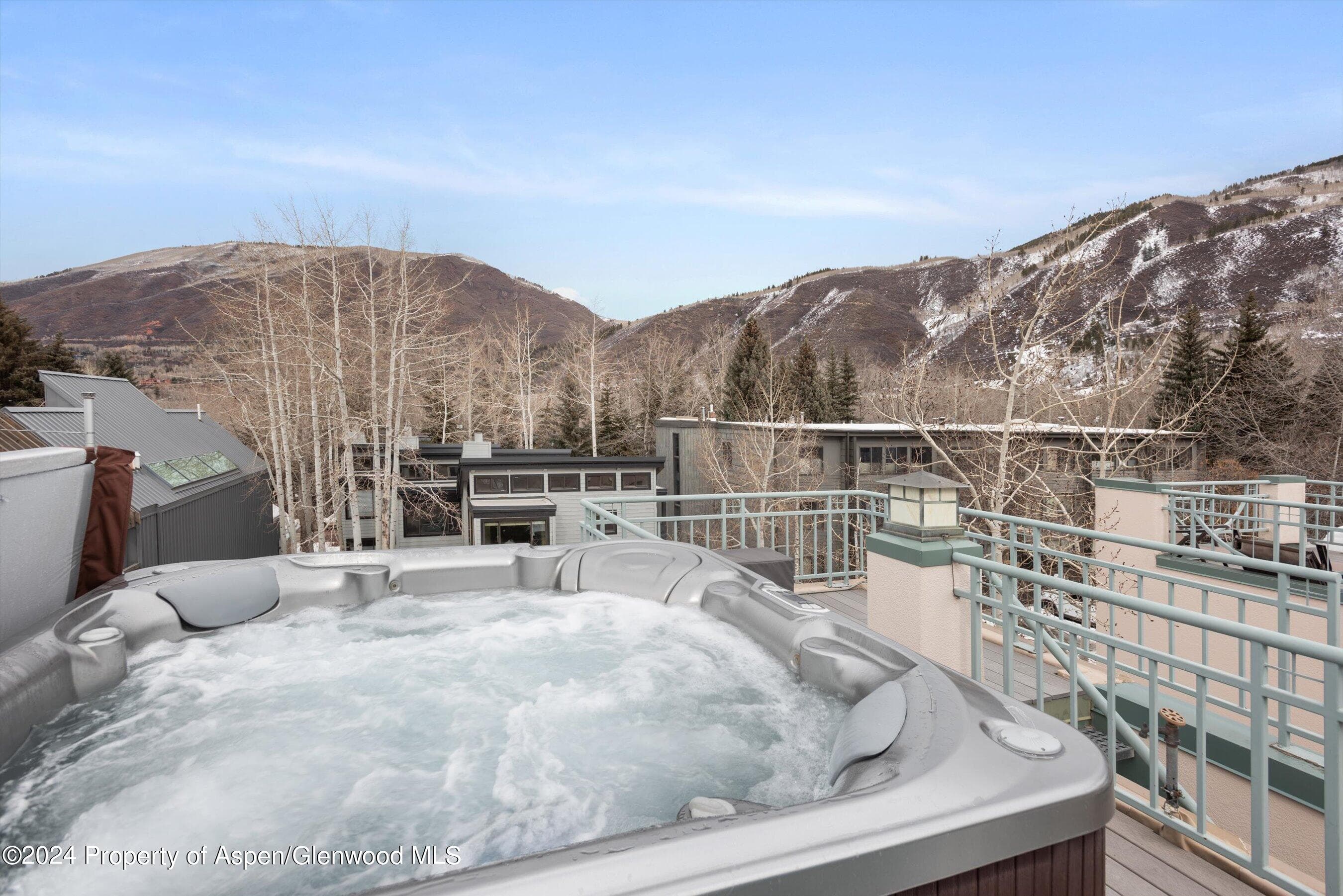 708 E Hopkins Avenue, Aspen, CO 81611 - Photo 7