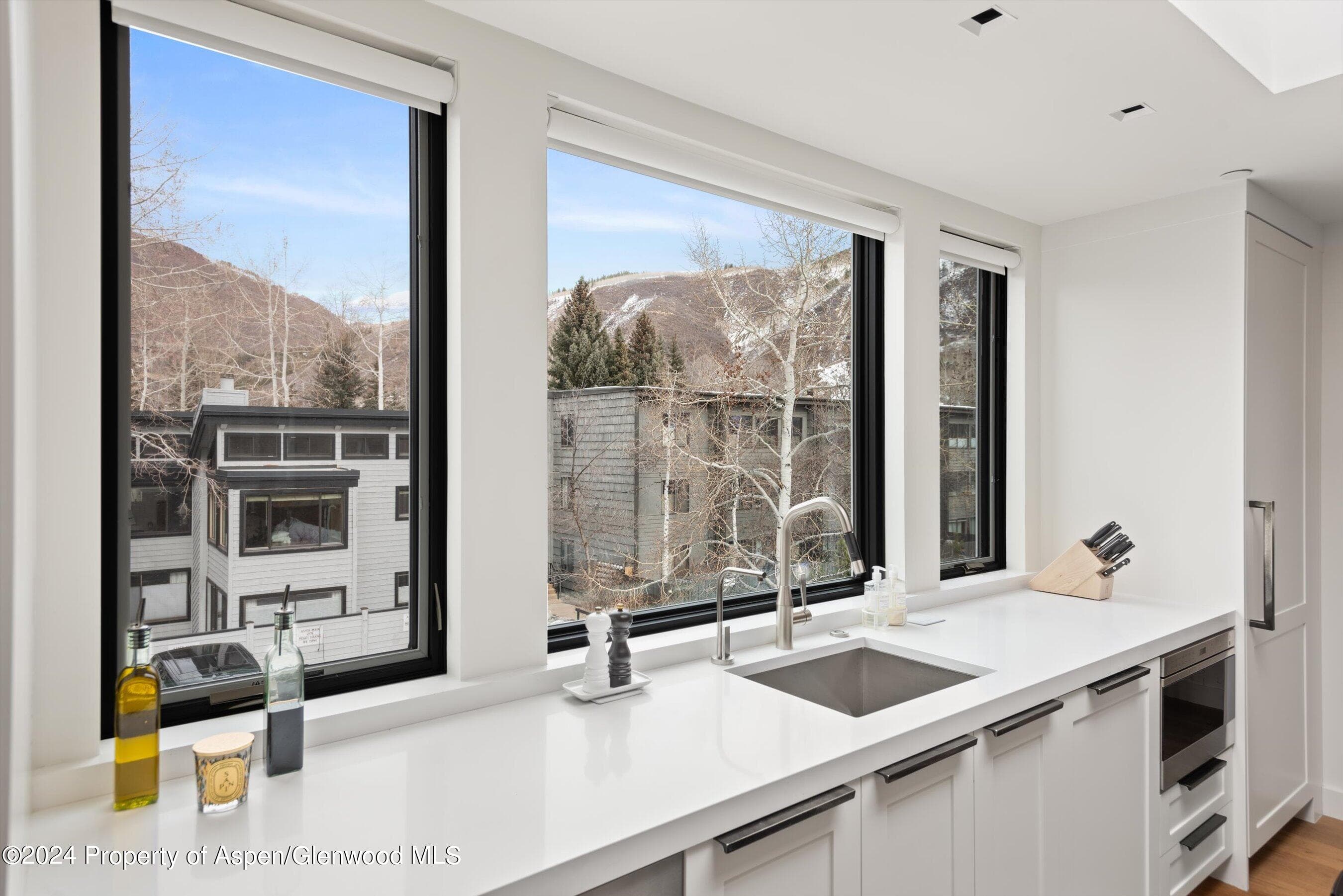 708 E Hopkins Avenue, Aspen, CO 81611 - Photo 23