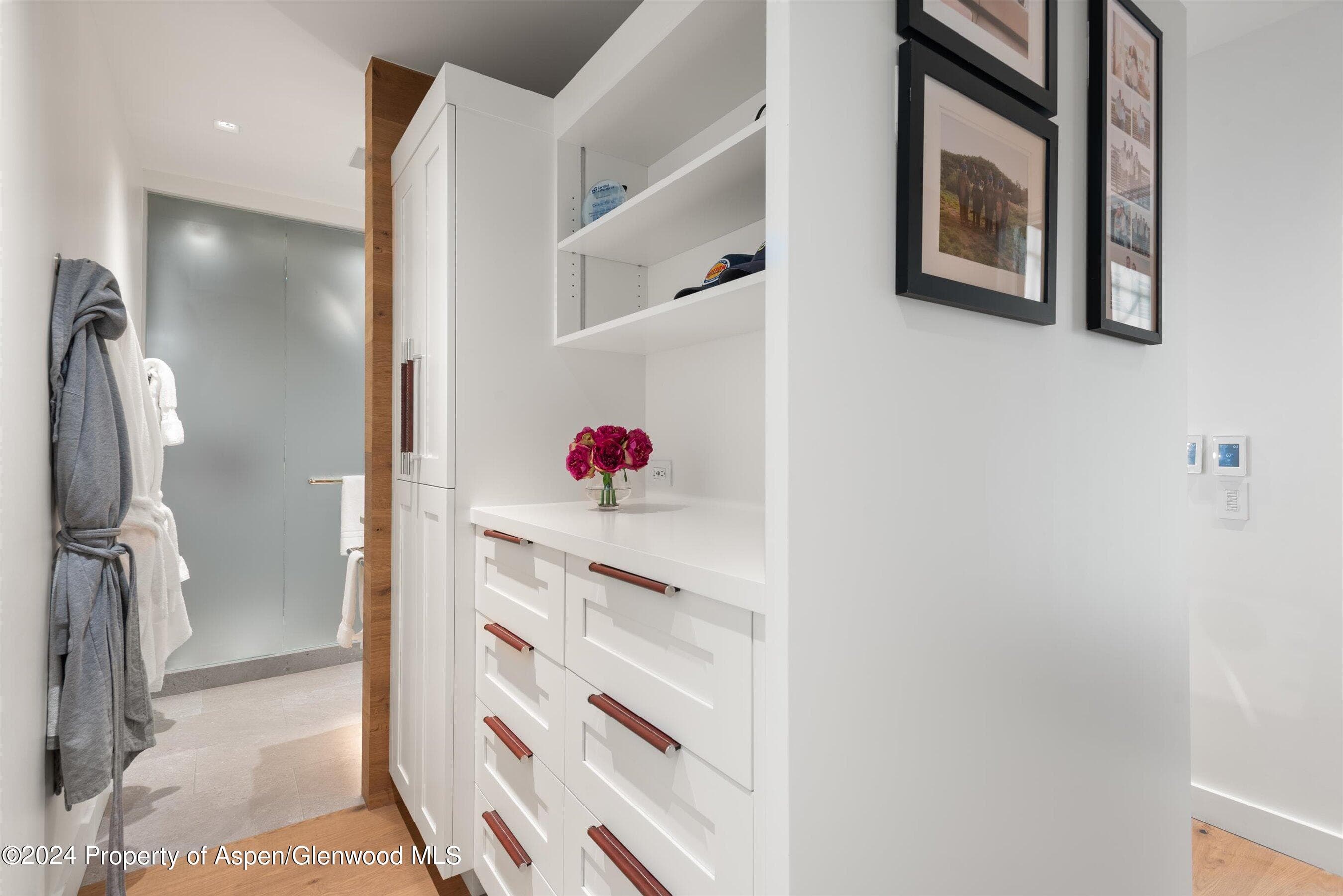 708 E Hopkins Avenue, Aspen, CO 81611 - Photo 29