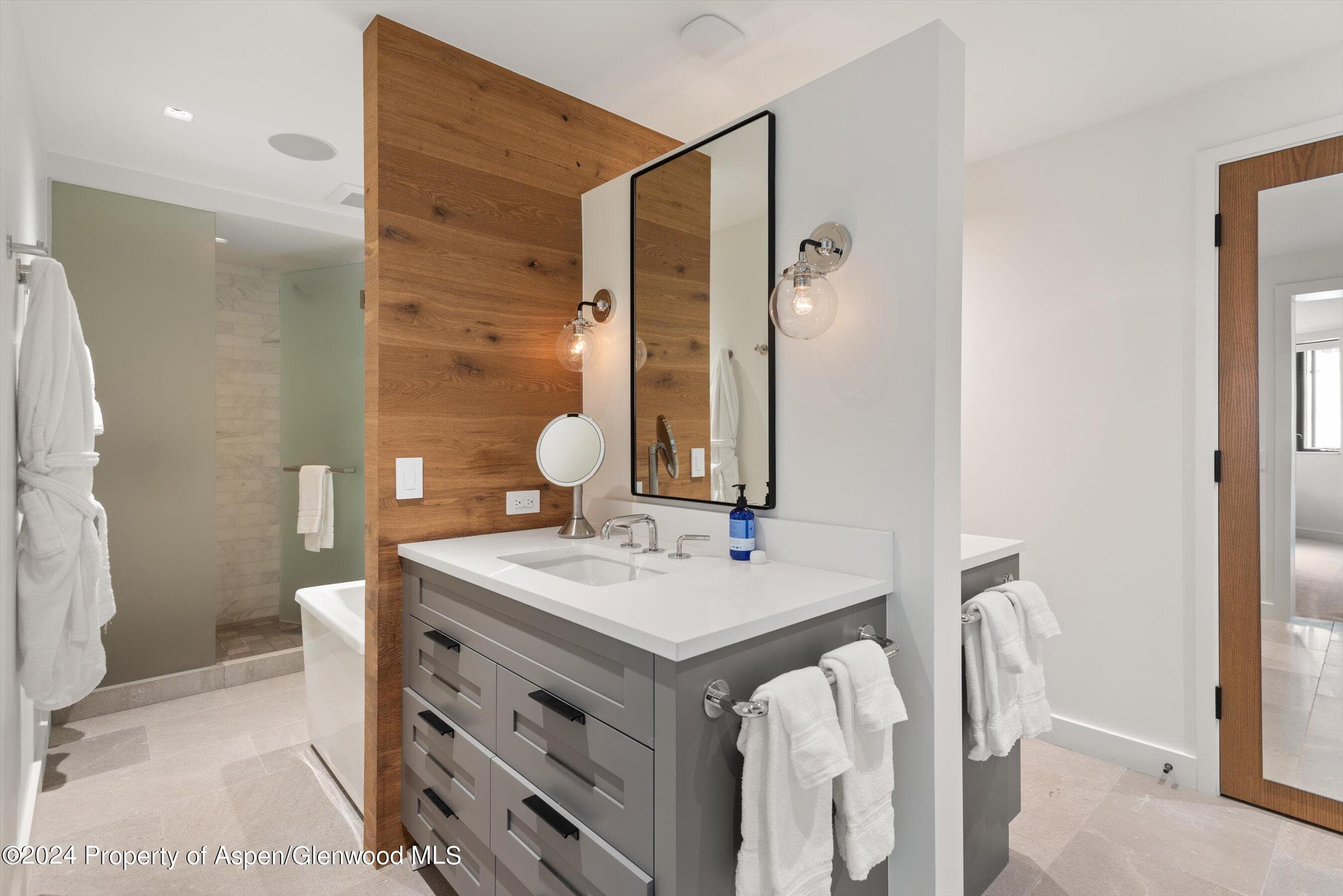 708 E Hopkins Avenue, Aspen, CO 81611 - Photo 38