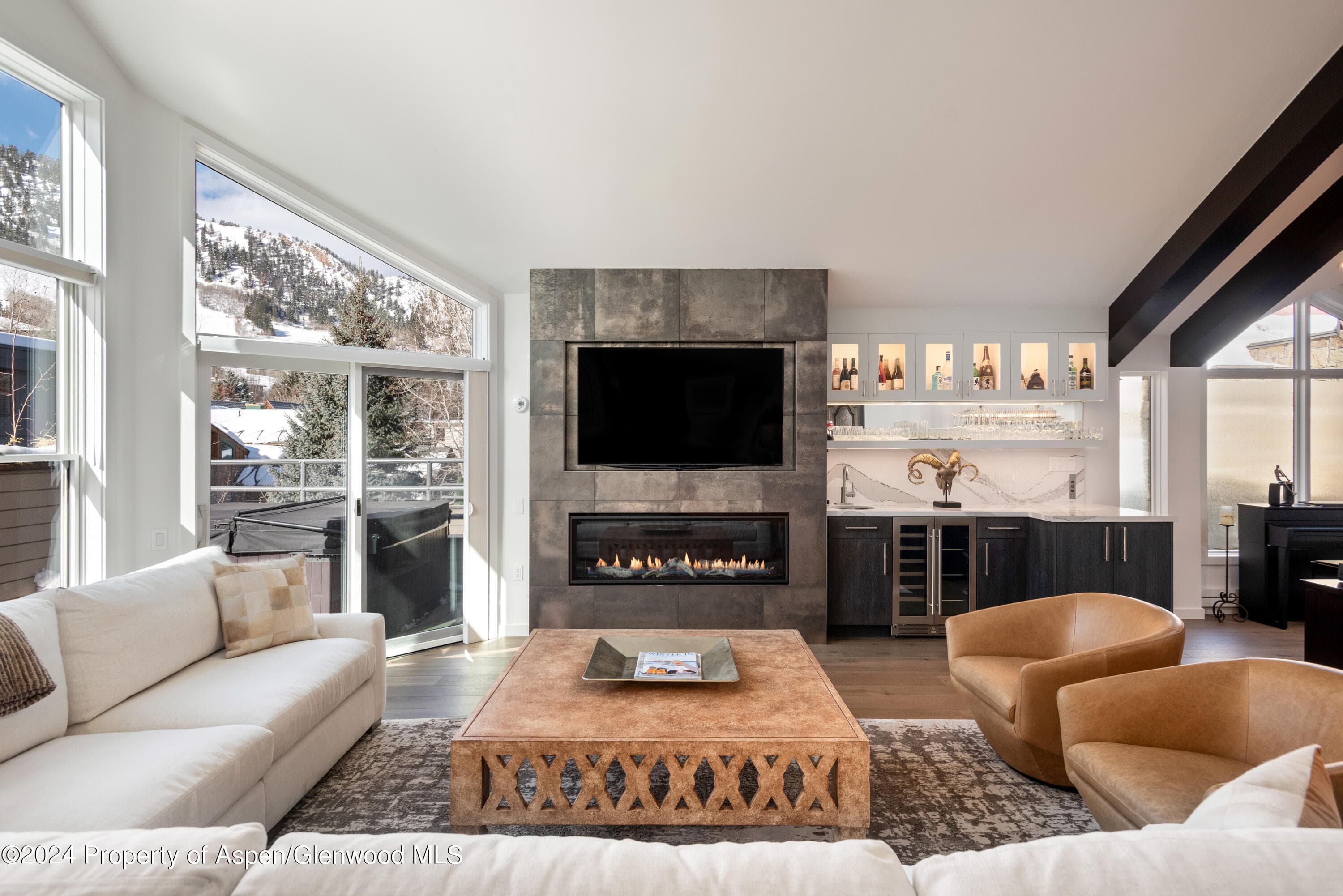 927 E Durant Avenue 3, Aspen, CO 81611 - Photo 2