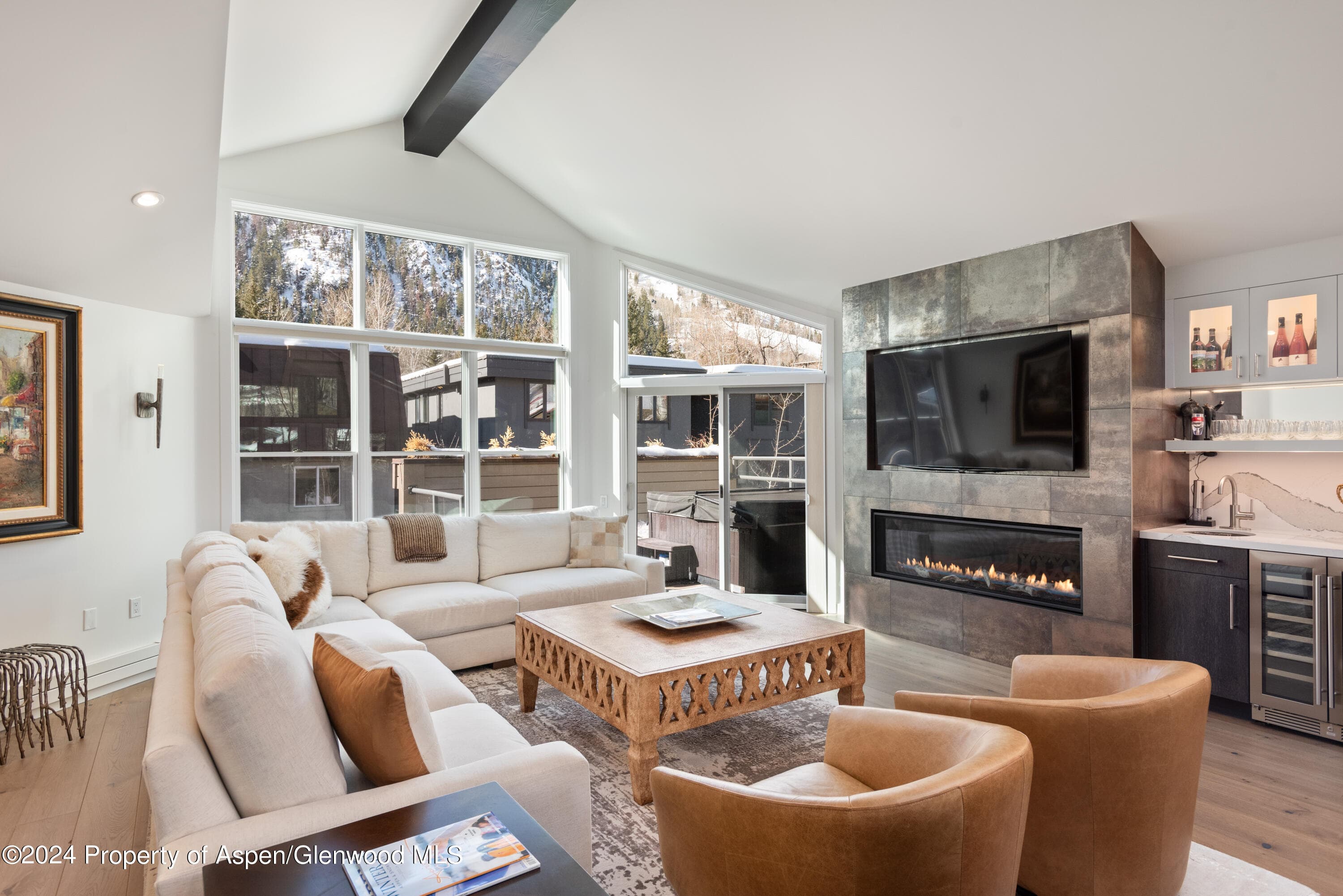 927 E Durant Avenue 3, Aspen, CO 81611 - Photo 3