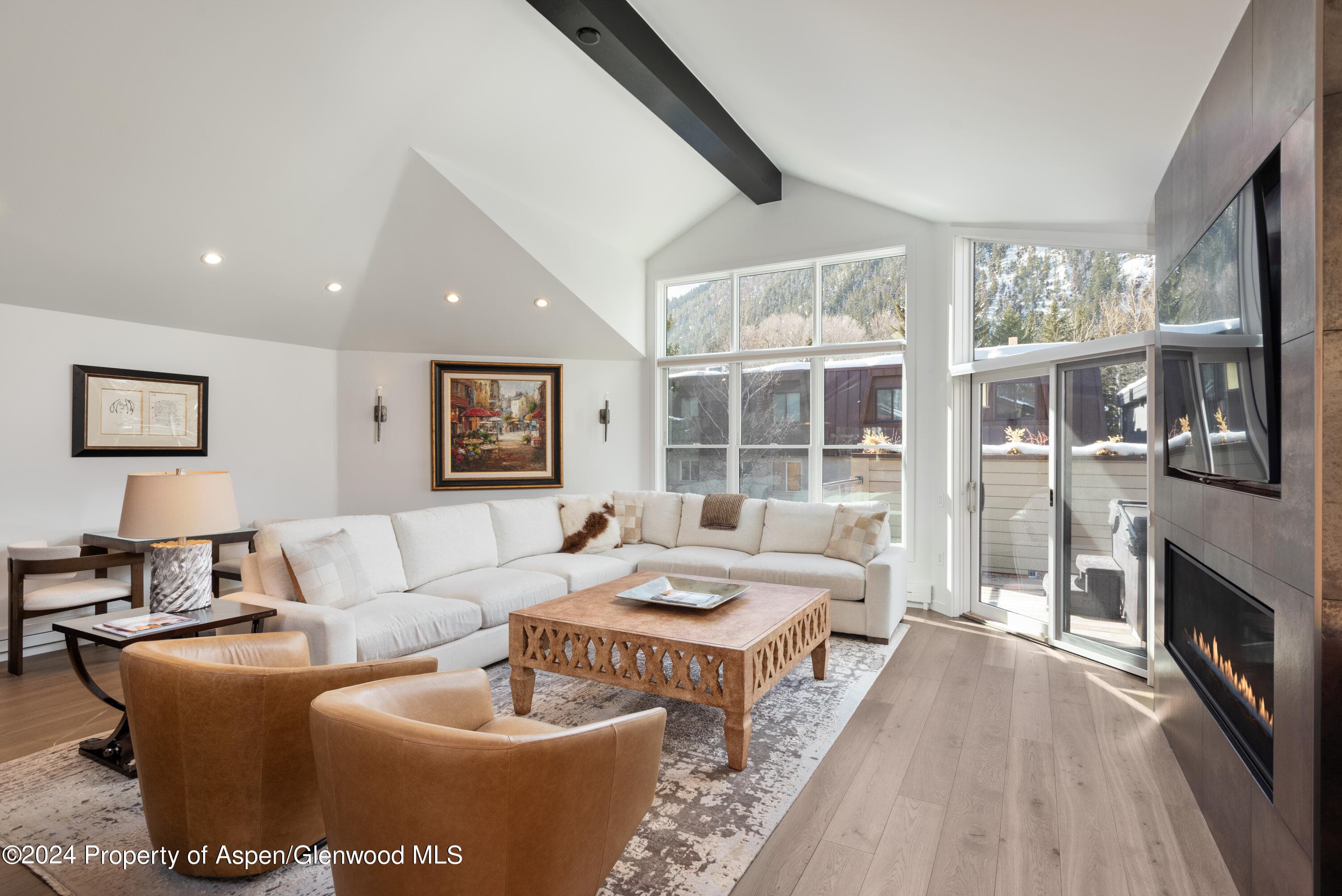927 E Durant Avenue 3, Aspen, CO 81611 - Photo 4