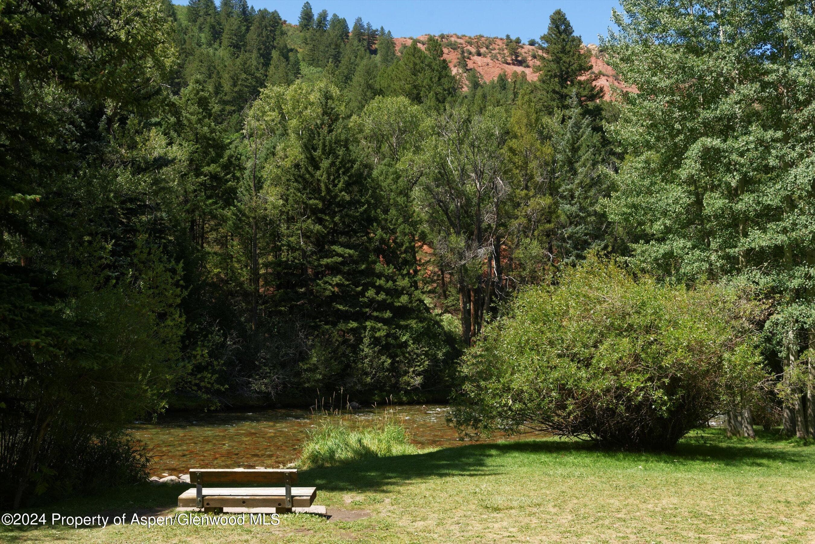 1035 Cemetery Lane, Aspen, CO 81611 - Photo 38
