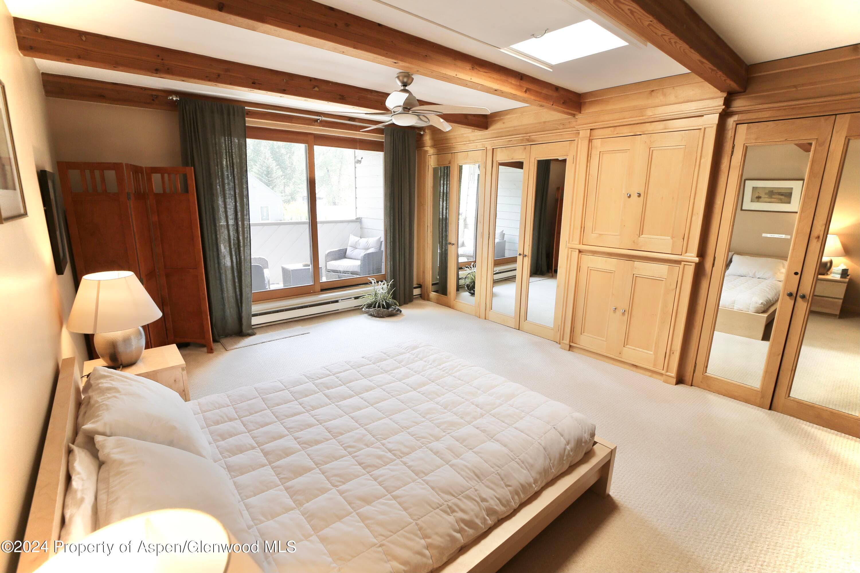 1007 E Hyman Avenue 6, Aspen, CO 81611 - Photo 11