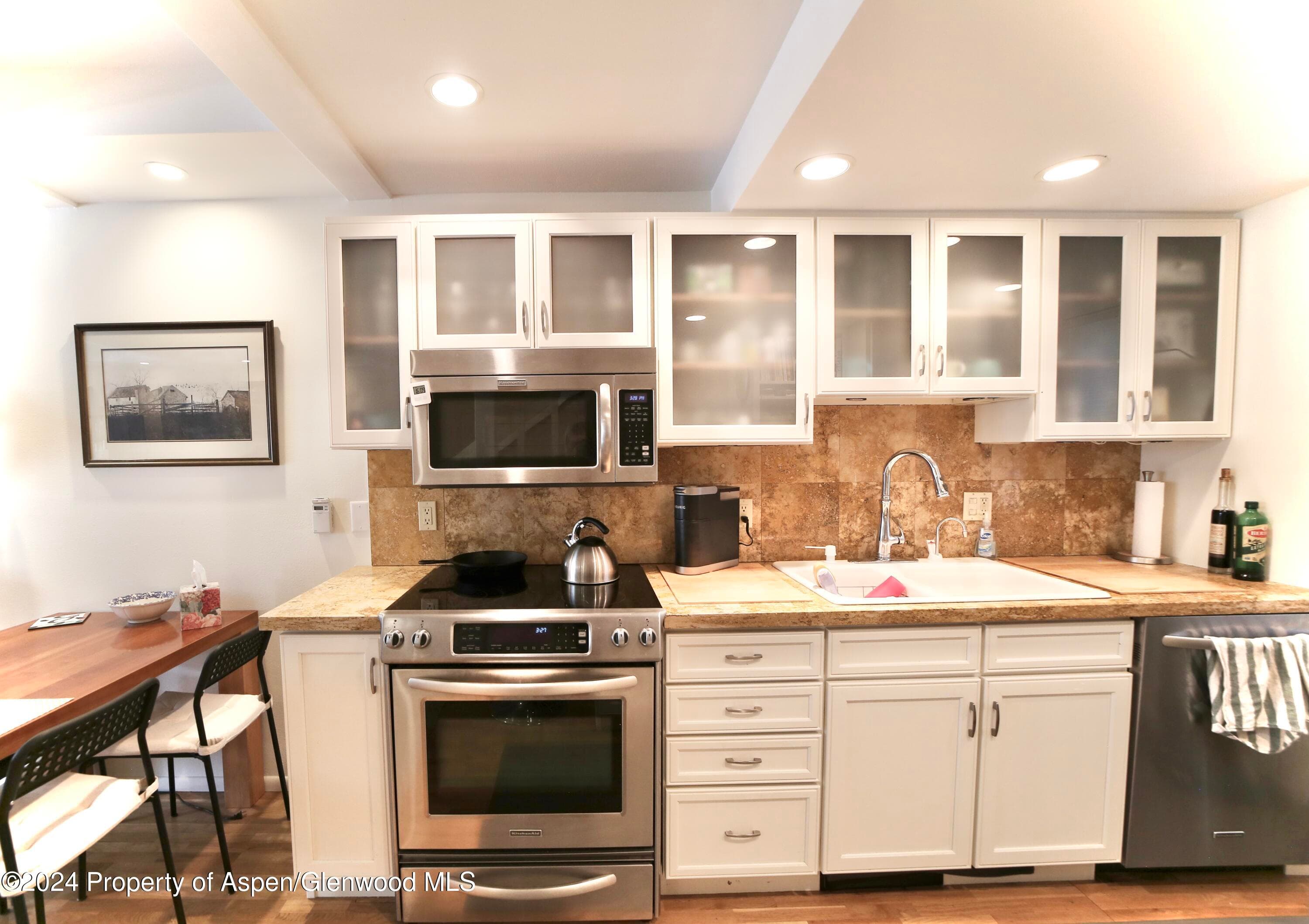 1007 E Hyman Avenue 6, Aspen, CO 81611 - Photo 3