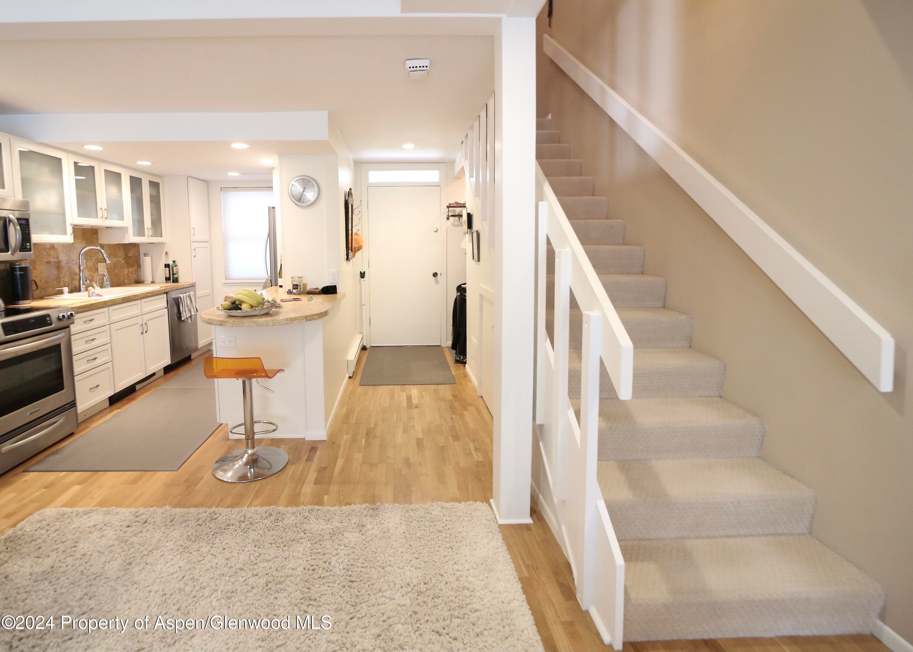 1007 E Hyman Avenue 6, Aspen, CO 81611 - Photo 1