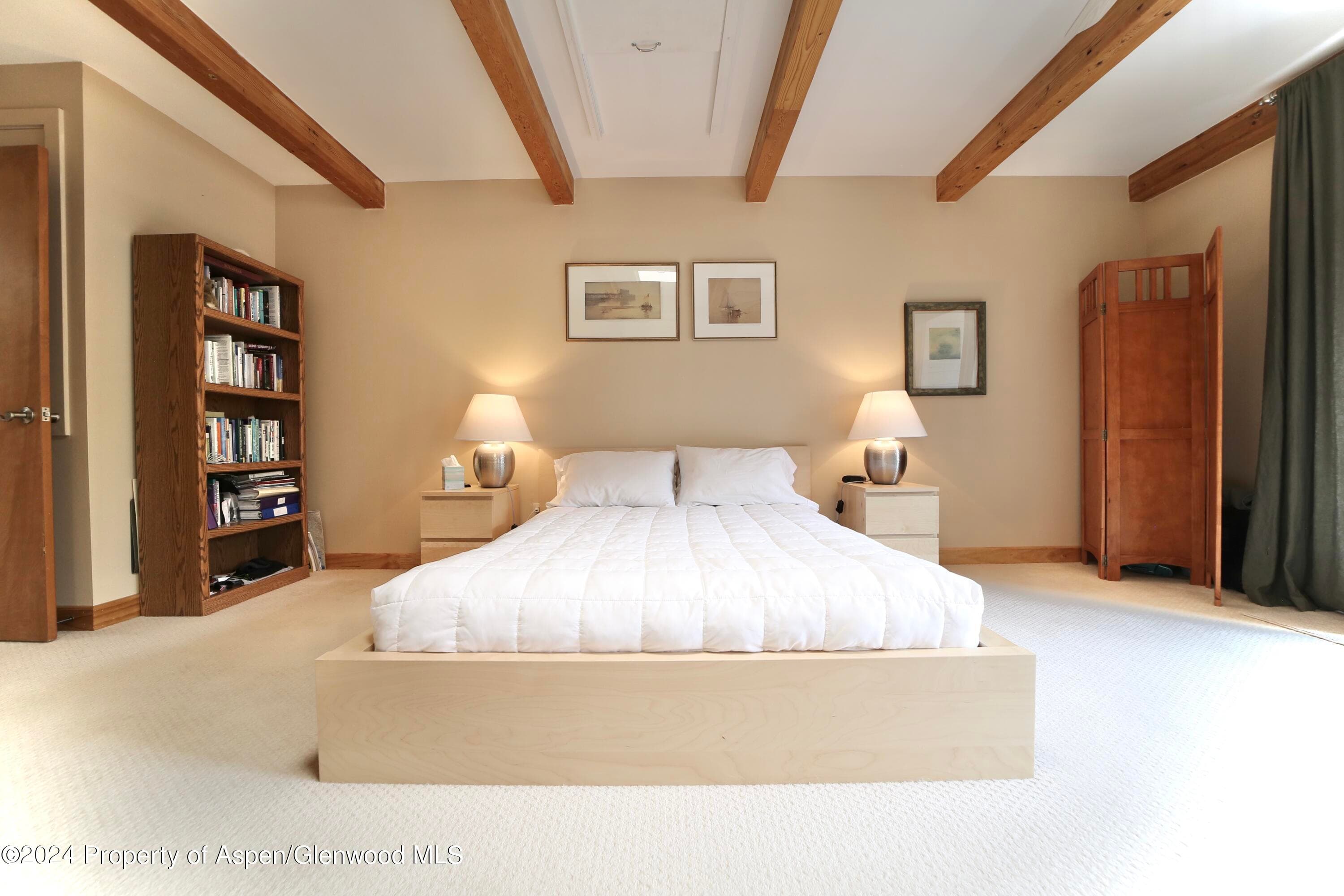 1007 E Hyman Avenue 6, Aspen, CO 81611 - Photo 15