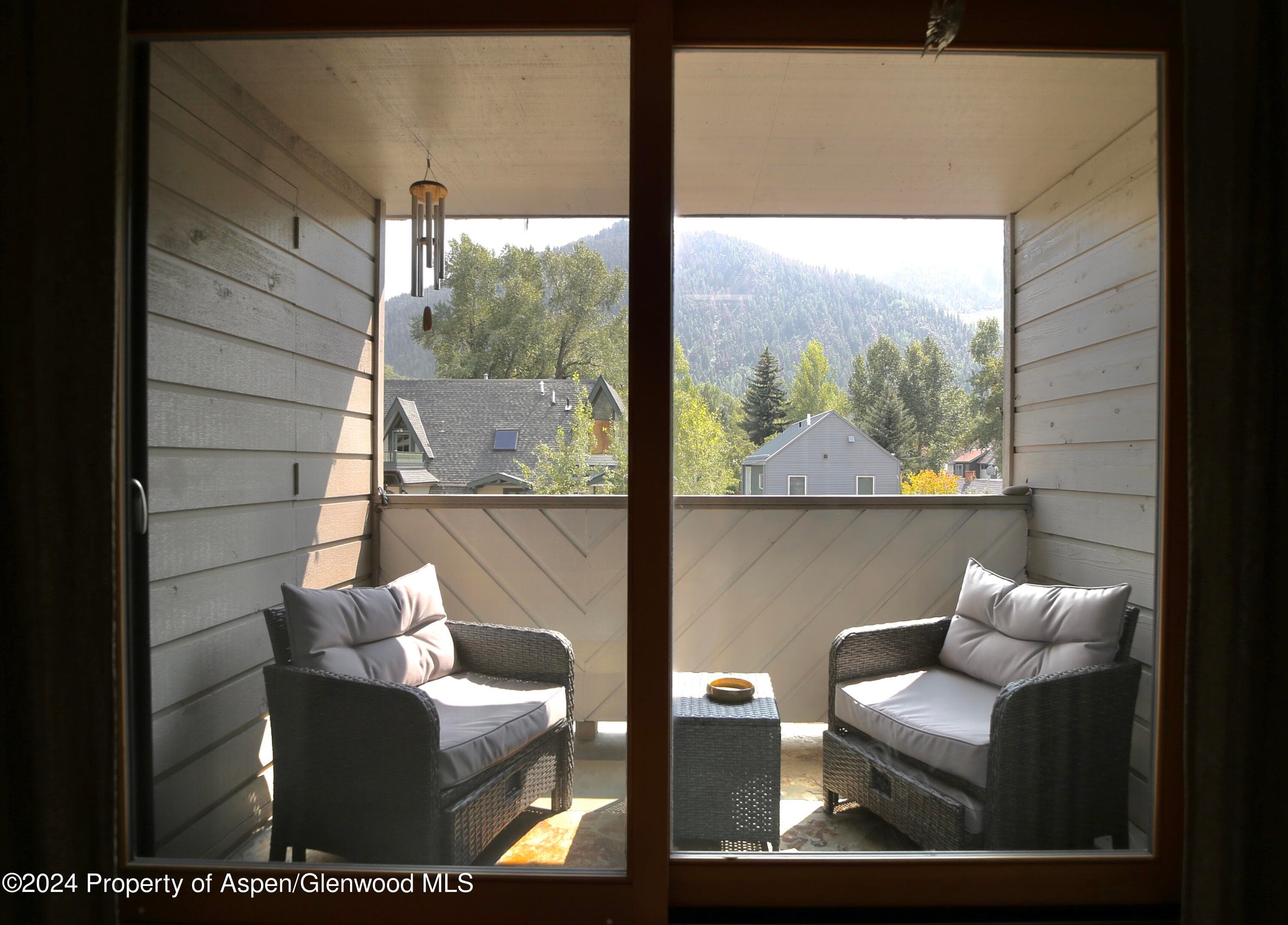 1007 E Hyman Avenue 6, Aspen, CO 81611 - Photo 13
