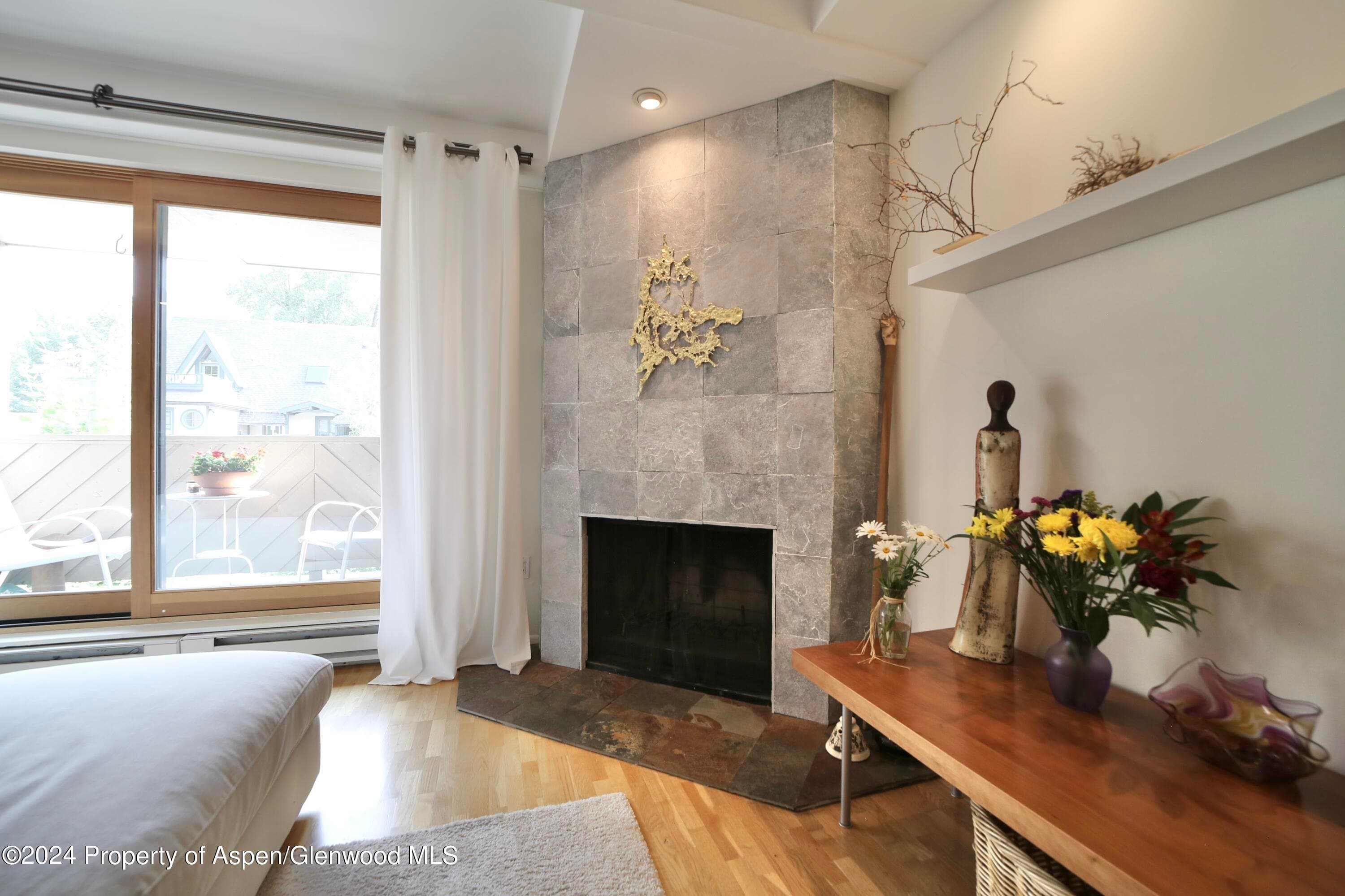 1007 E Hyman Avenue 6, Aspen, CO 81611 - Photo 7