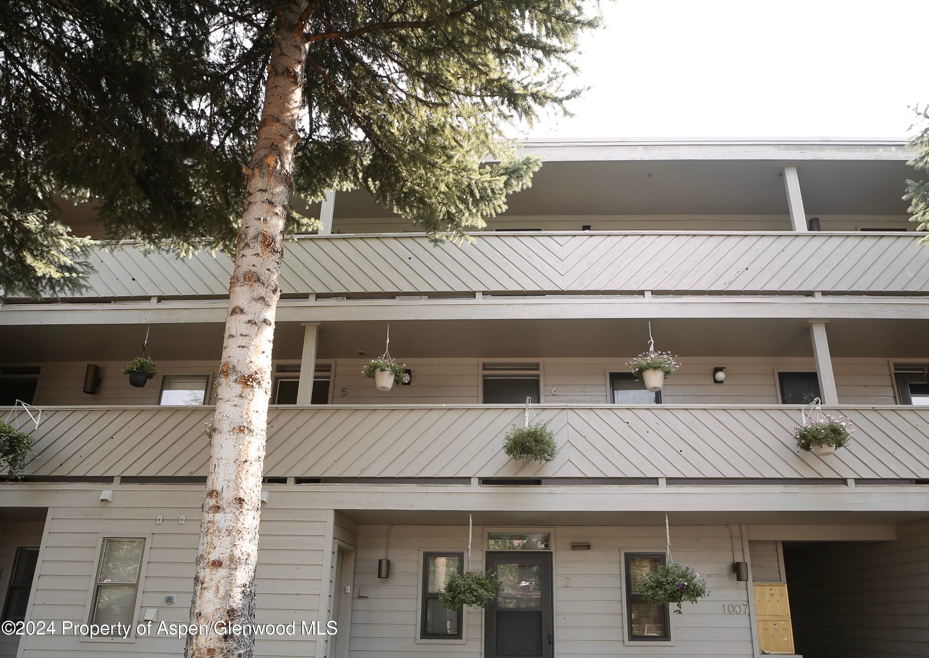 1007 E Hyman Avenue 6, Aspen, CO 81611 - Photo 18