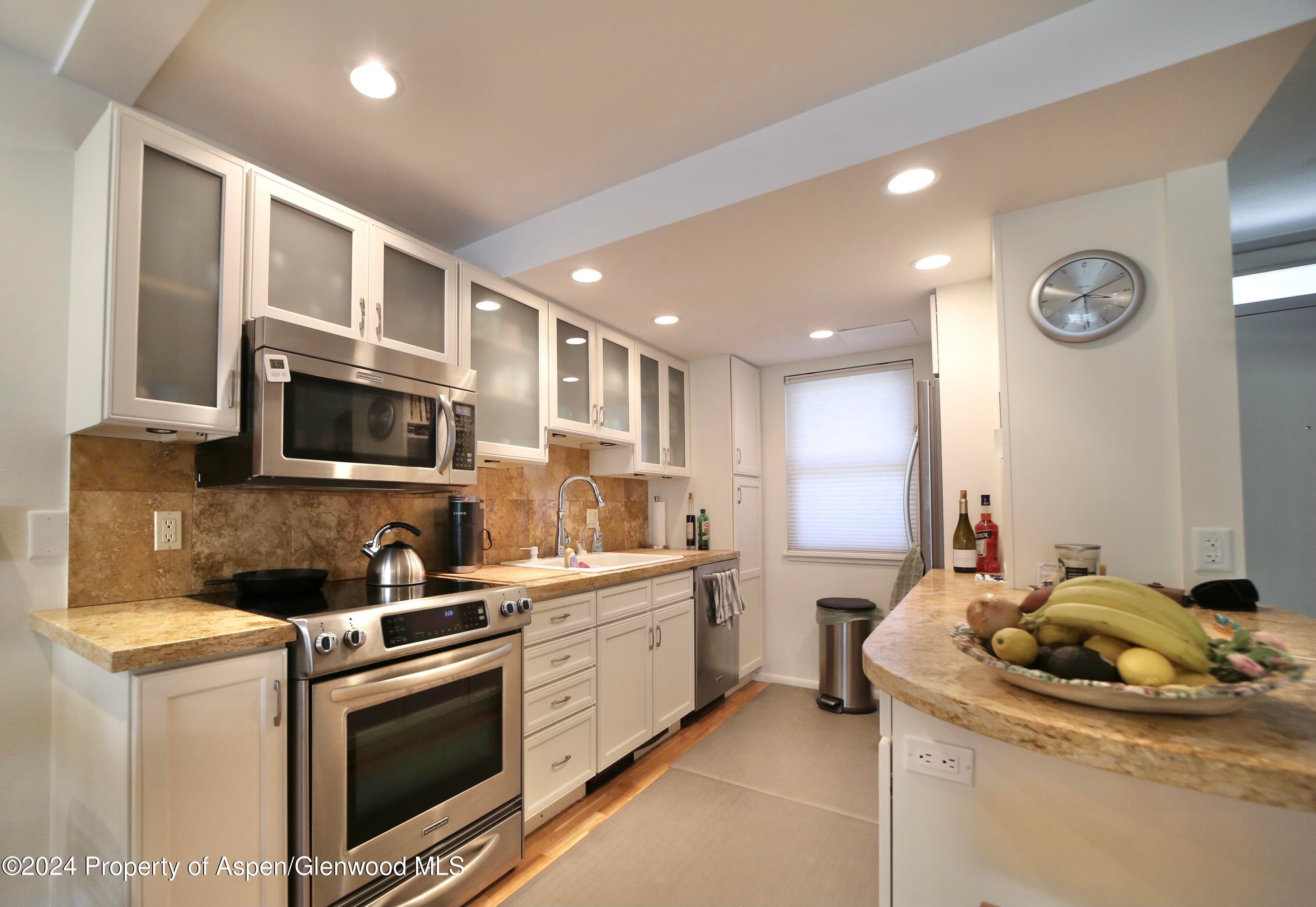 1007 E Hyman Avenue 6, Aspen, CO 81611 - Photo 2