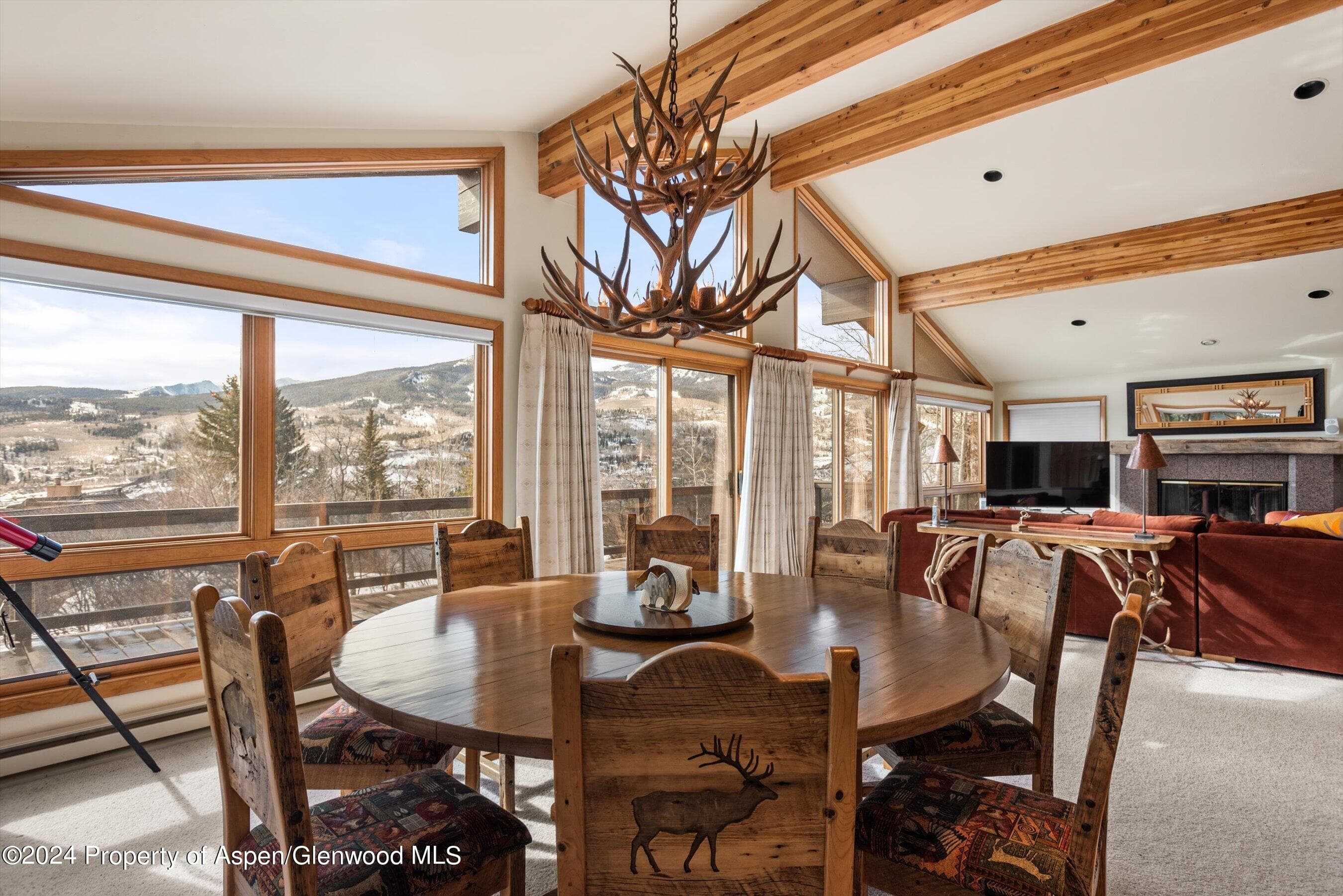 92 Wildridge Lane, Snowmass Village, CO 81615 - Photo 12