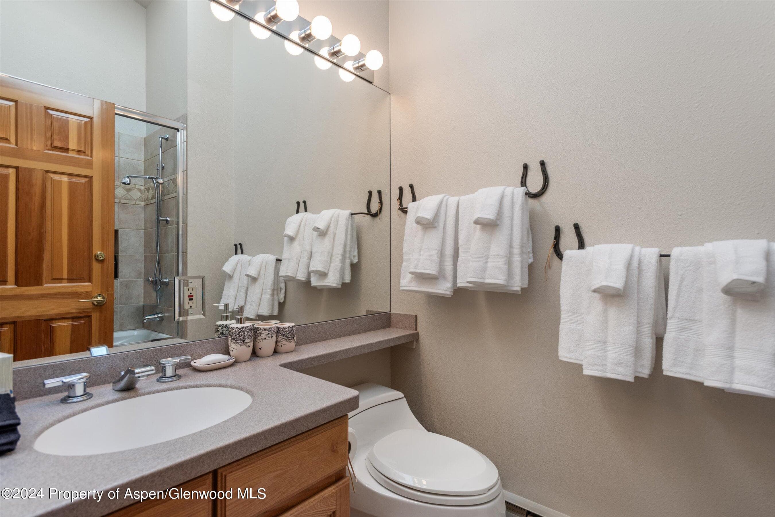 92 Wildridge Lane, Snowmass Village, CO 81615 - Photo 21