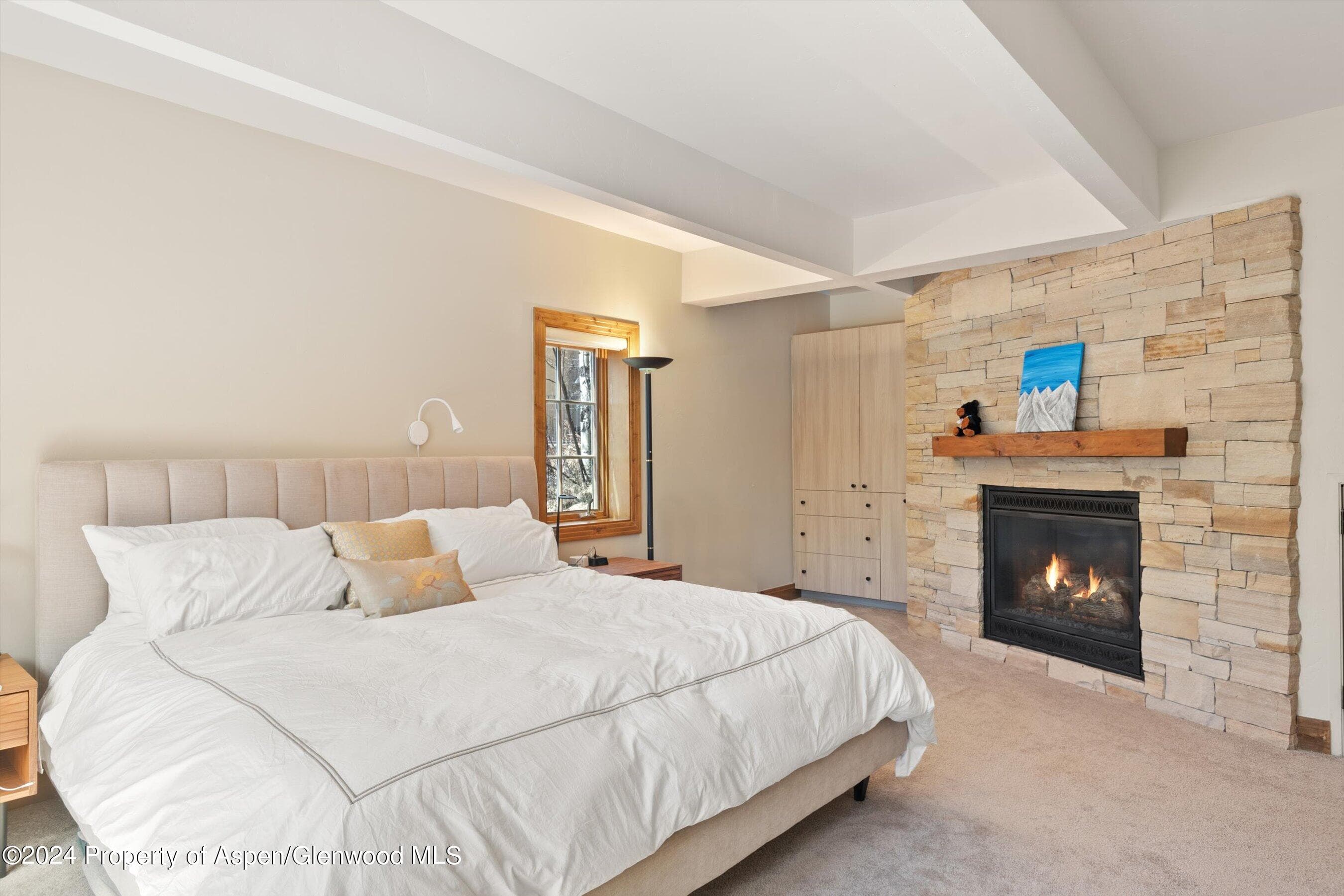 64 Eastwood Drive, Aspen, CO 81611 - Photo 16