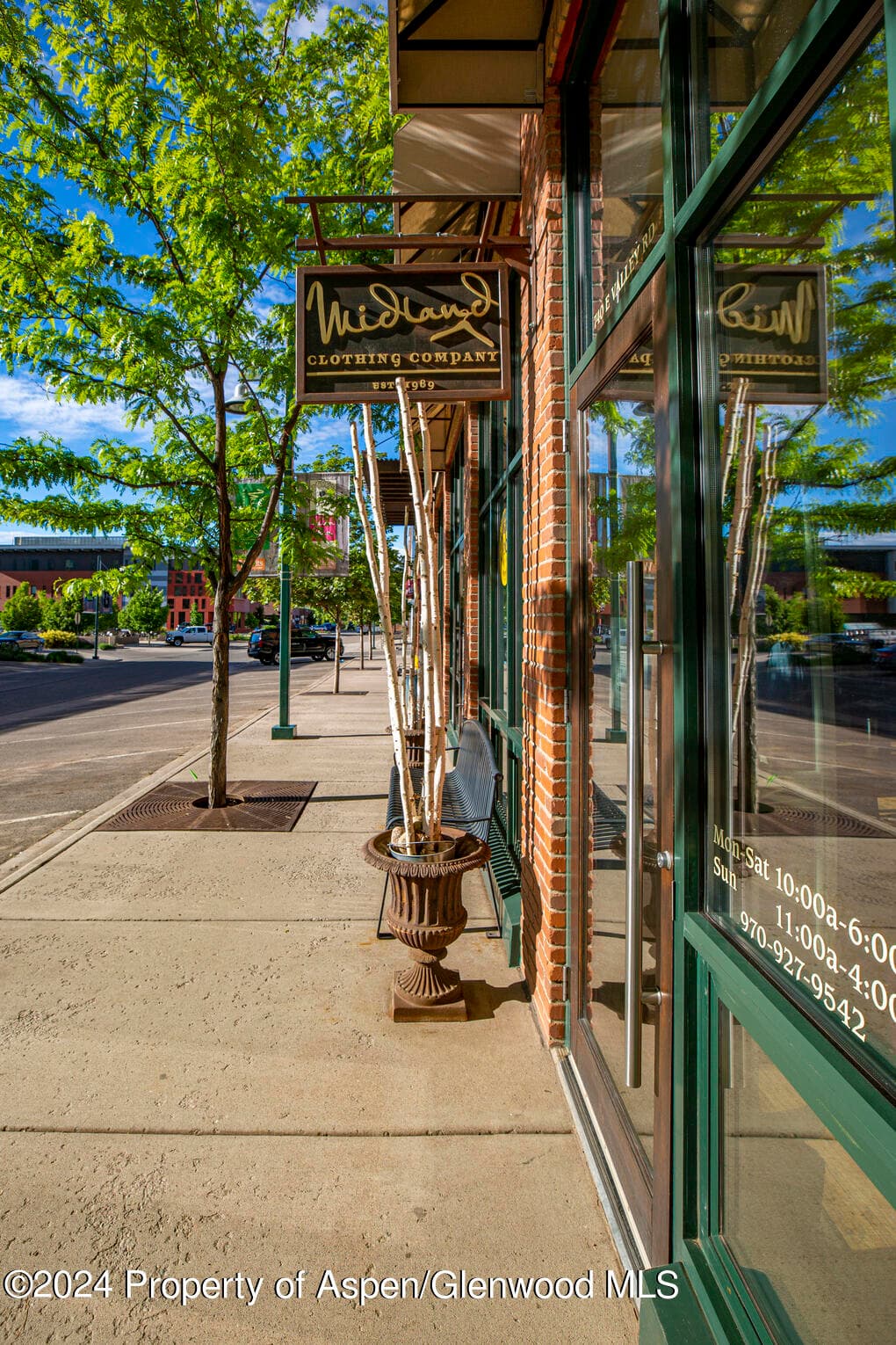 231 Robinson Street 330, Basalt, CO 81621 - Photo 43