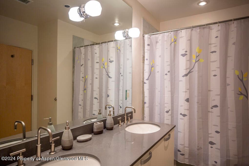 231 Robinson Street 330, Basalt, CO 81621 - Photo 17
