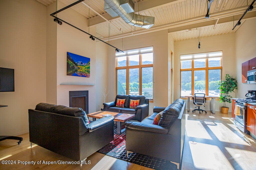 231 Robinson Street 330, Basalt, CO 81621 - Photo 9