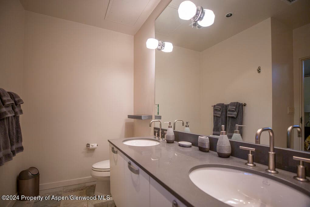 231 Robinson Street 330, Basalt, CO 81621 - Photo 18
