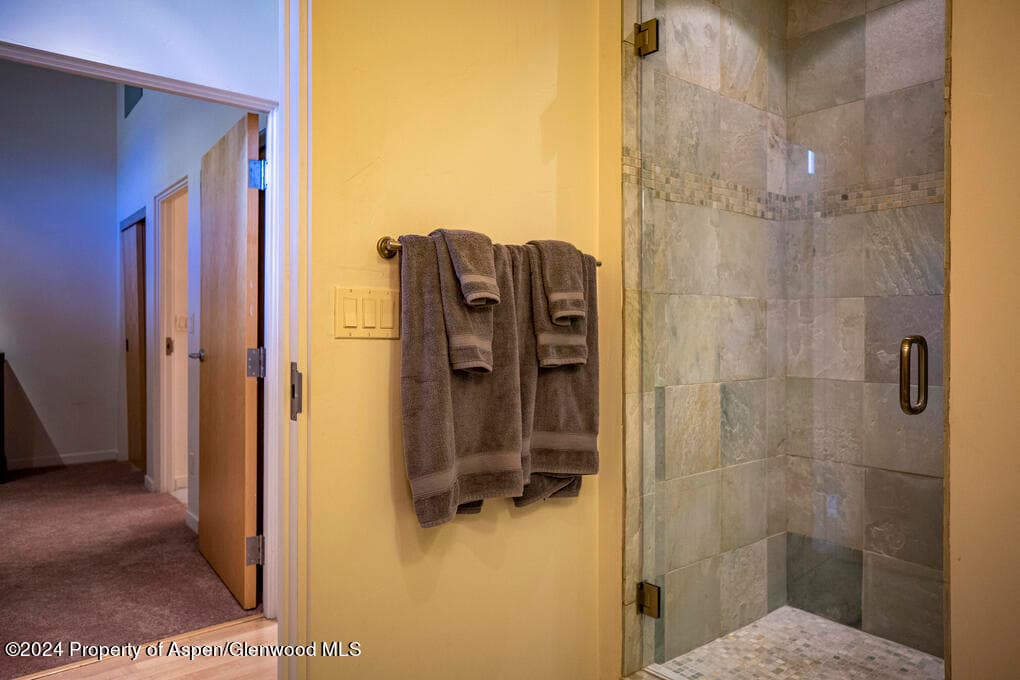 231 Robinson Street 330, Basalt, CO 81621 - Photo 24