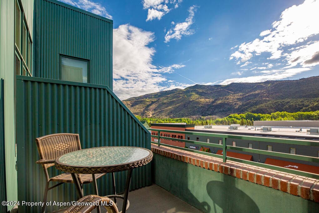 231 Robinson Street 330, Basalt, CO 81621 - Photo 39