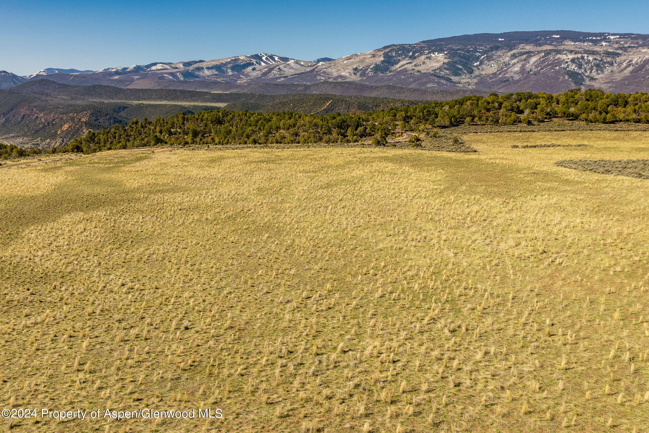 2777 ELK SPRINGS Drive, Glenwood Springs, CO 81601 - Photo 18