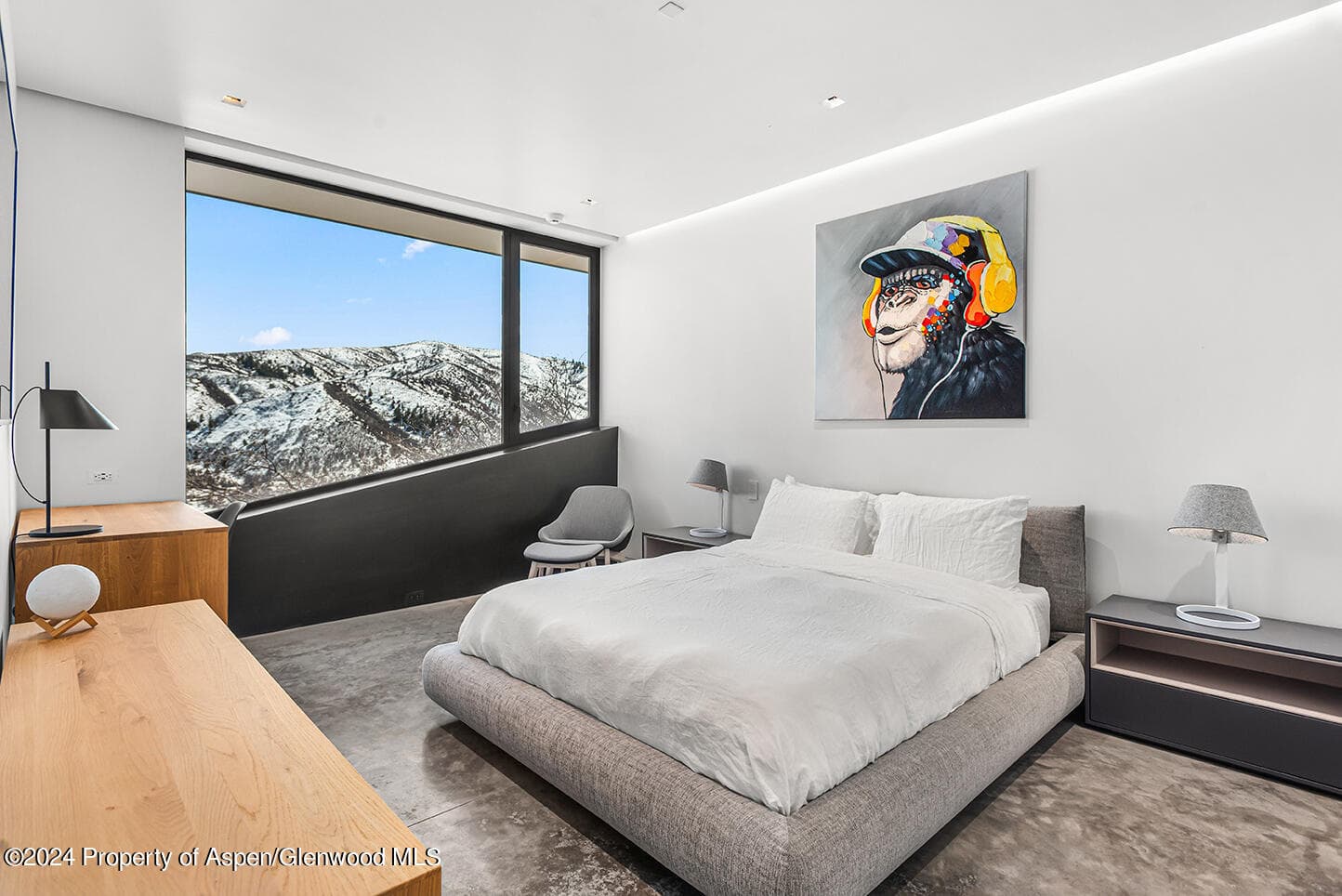580 Medicine Bow Road, Aspen, CO 81611 - Photo 7