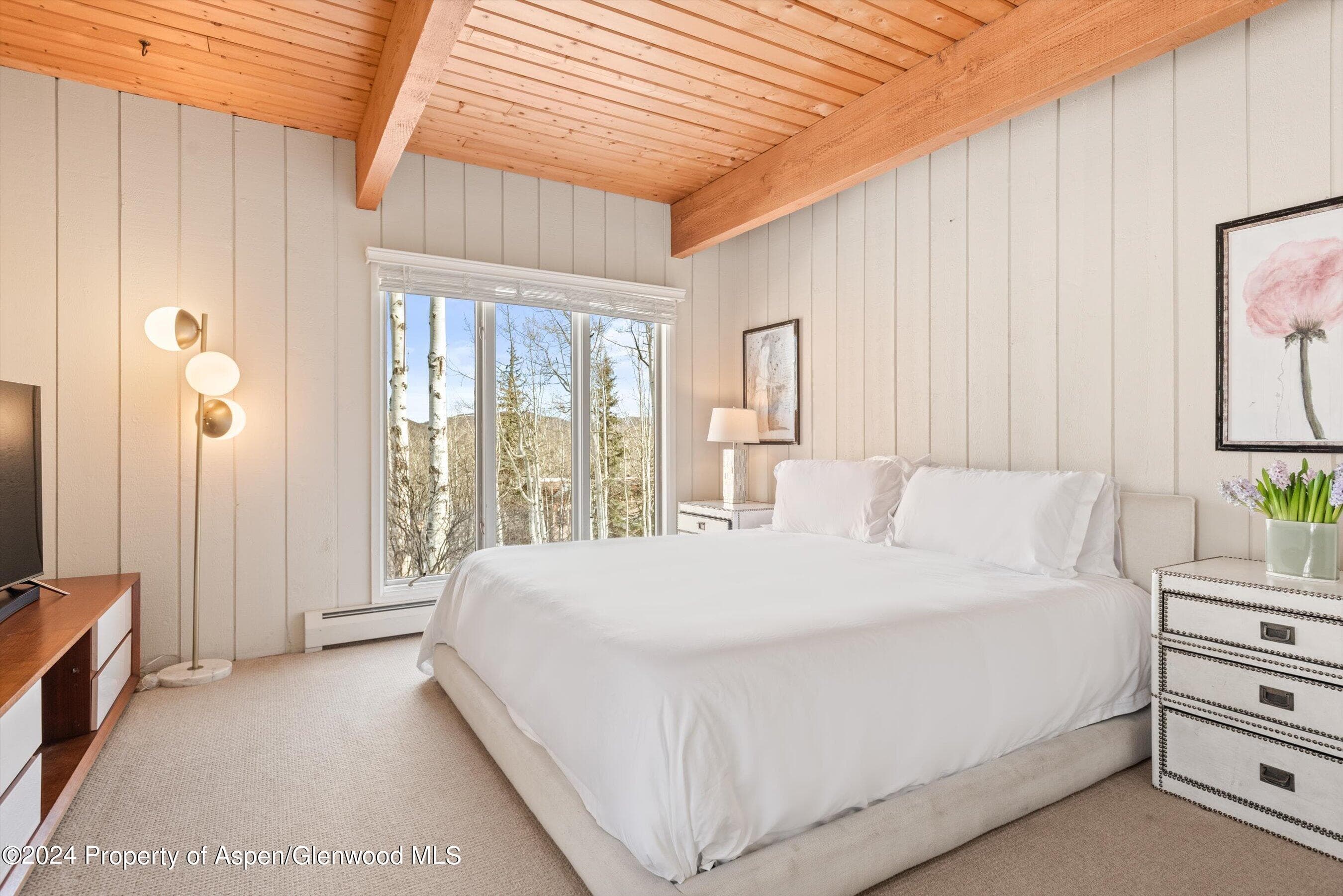 49 Elk Ridge Lane, Snowmass Village, CO 81615 - Photo 12