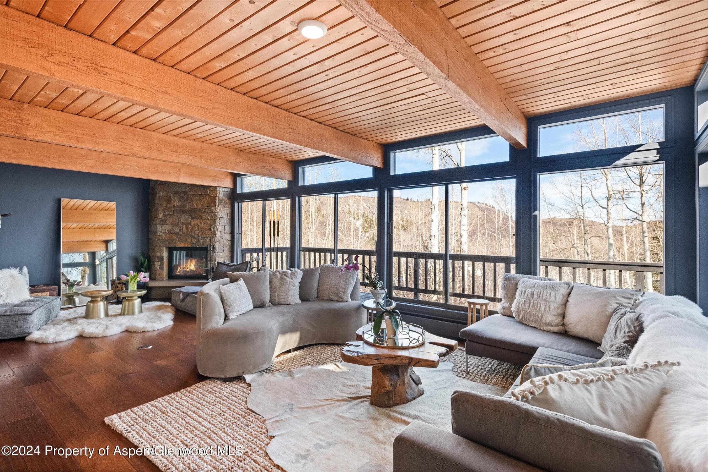 49 Elk Ridge Lane, Snowmass Village, CO 81615 - Photo 4
