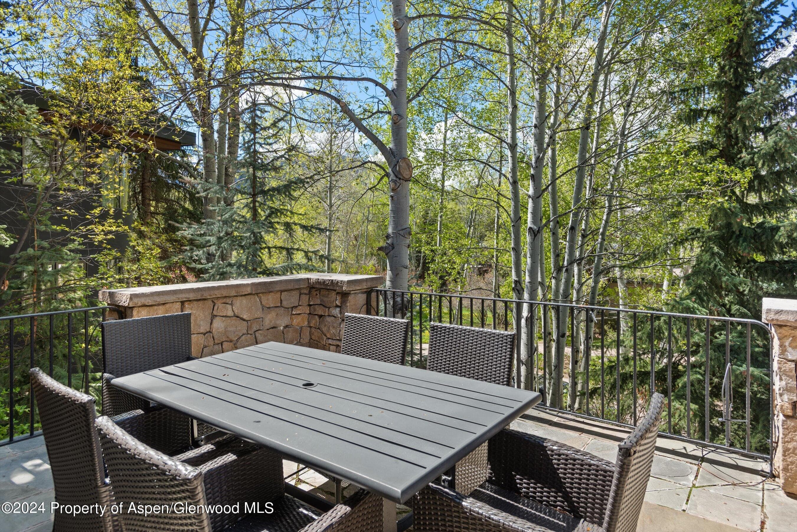 1530 Silver King Drive, Aspen, CO 81611 - Photo 14