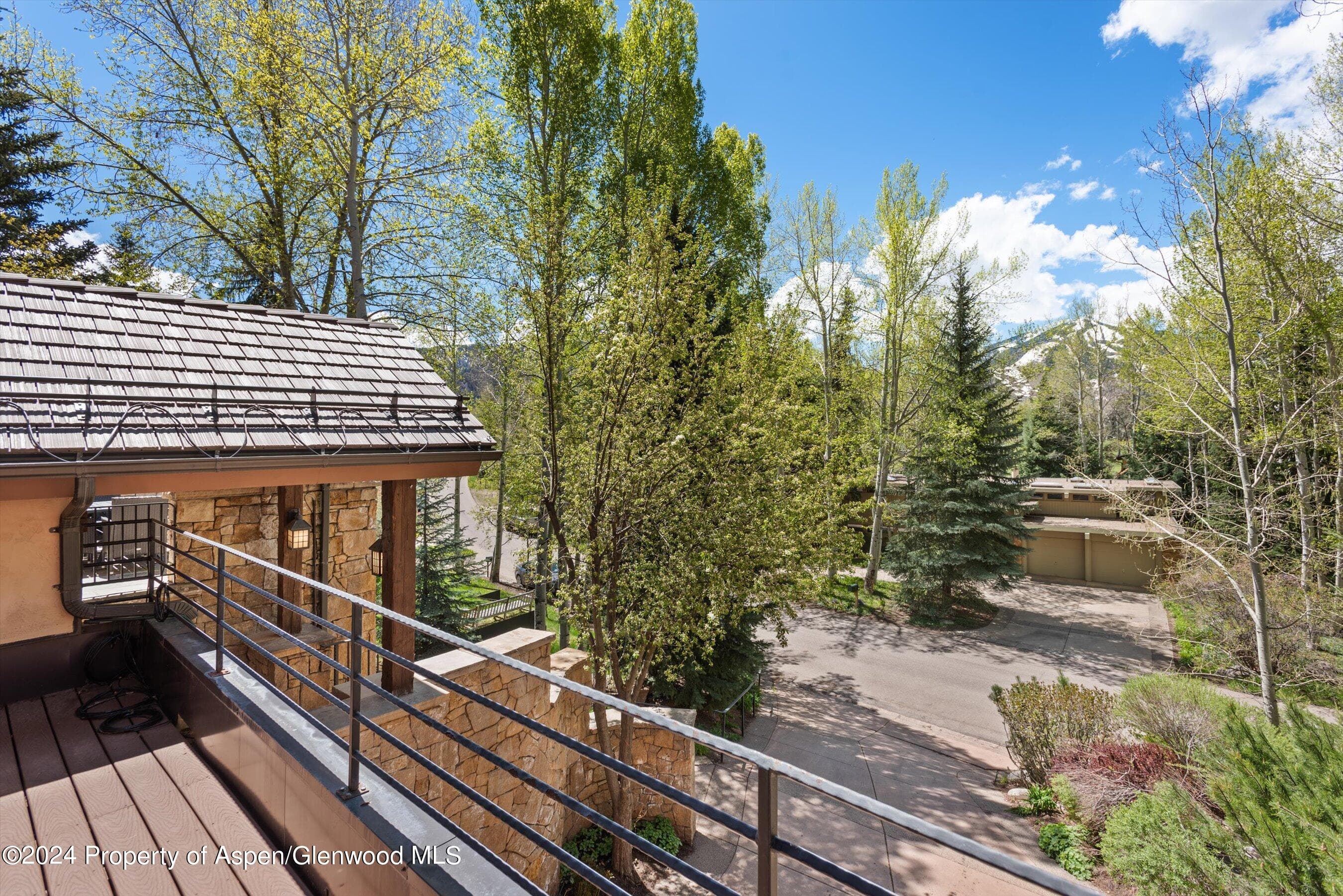 1530 Silver King Drive, Aspen, CO 81611 - Photo 20