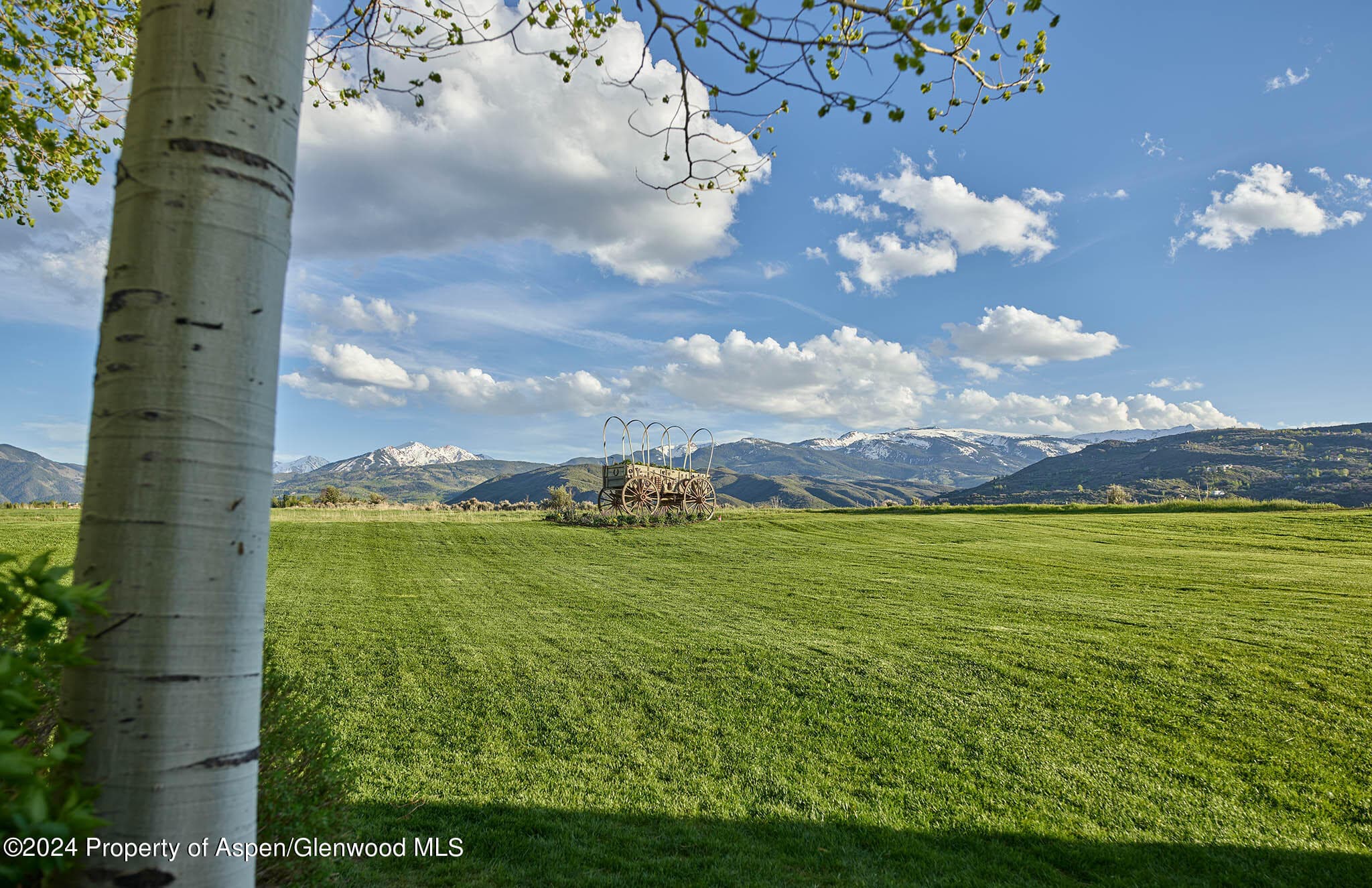 910 White Star Drive, Aspen, CO 81611 - Photo 45