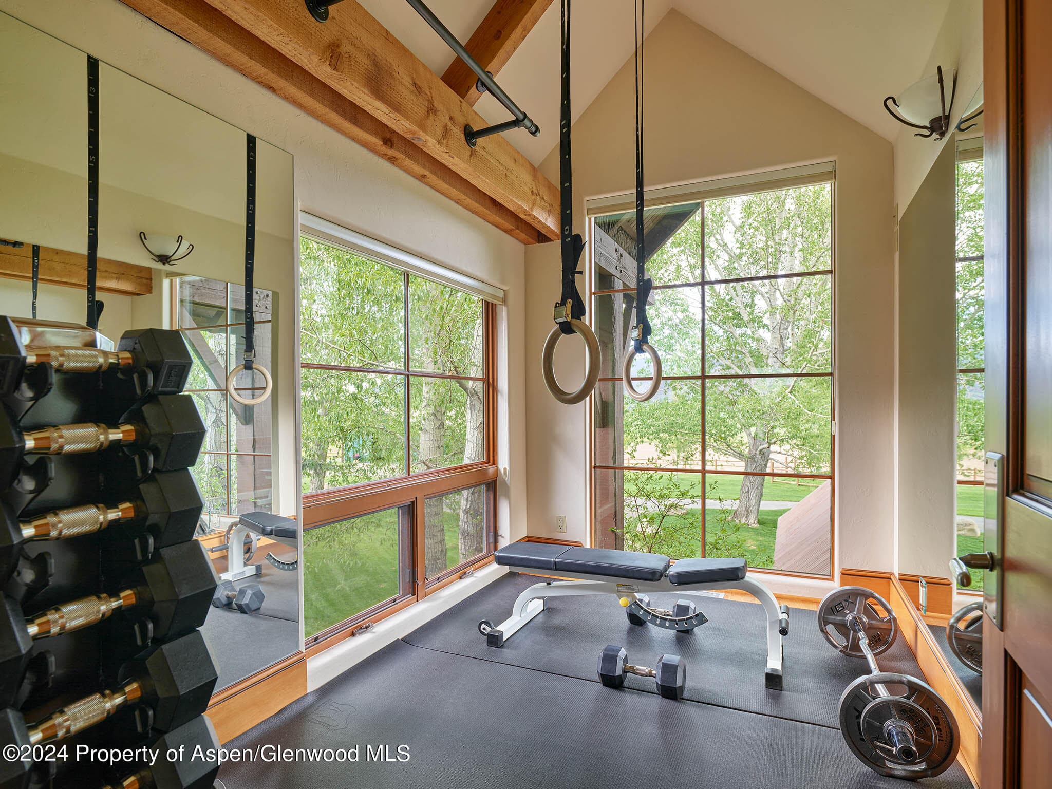 910 White Star Drive, Aspen, CO 81611 - Photo 21