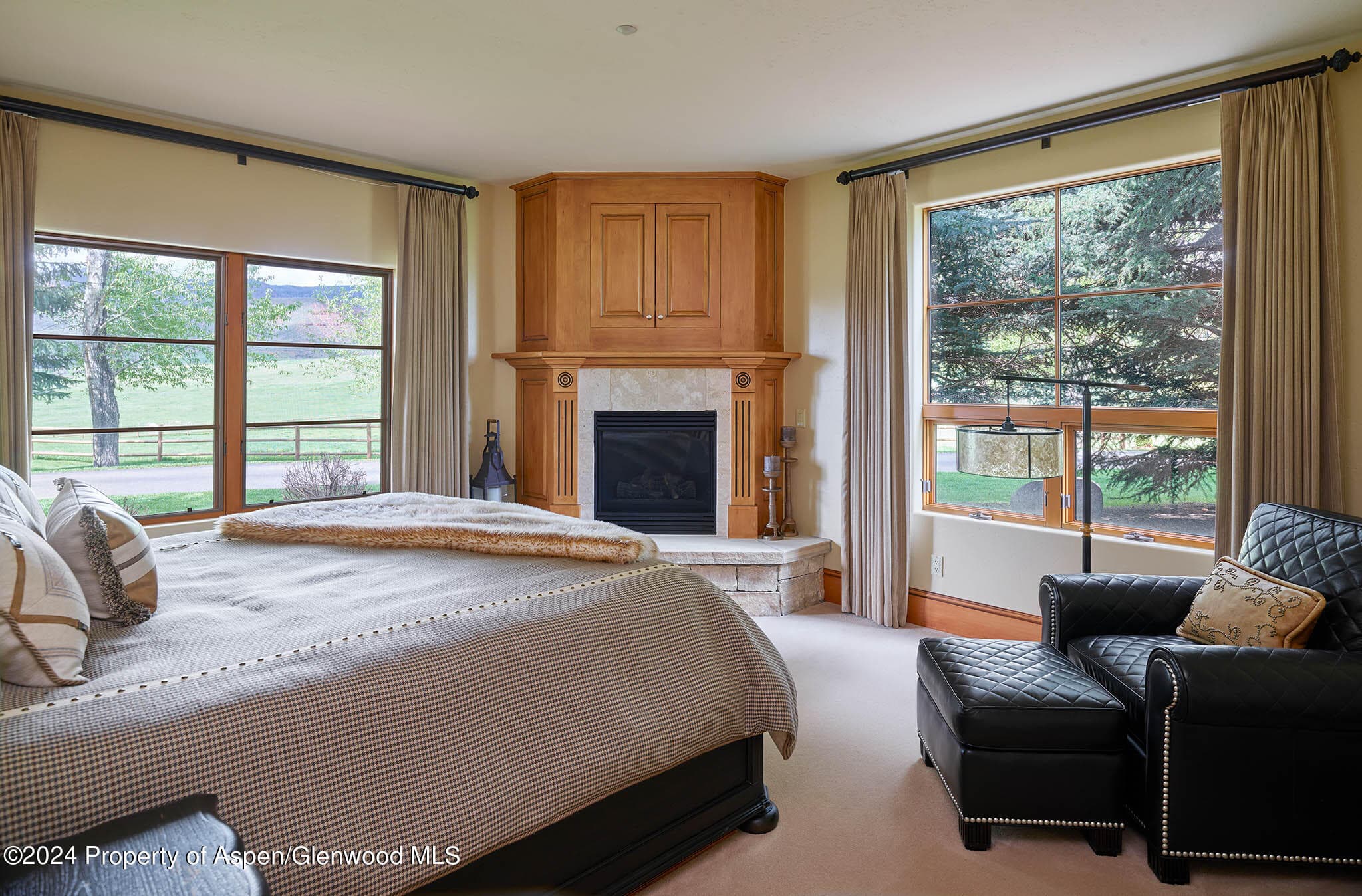910 White Star Drive, Aspen, CO 81611 - Photo 26