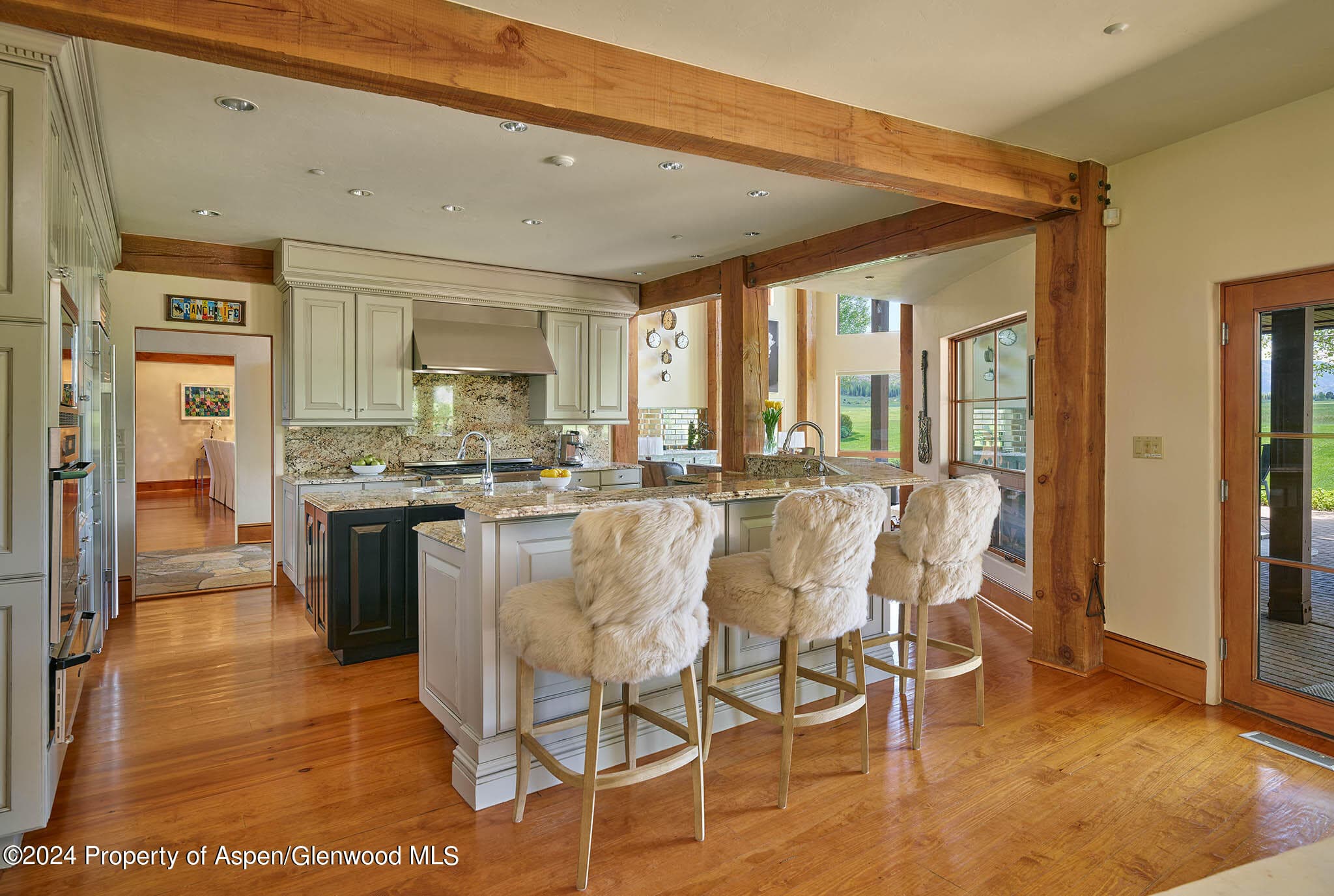 910 White Star Drive, Aspen, CO 81611 - Photo 13