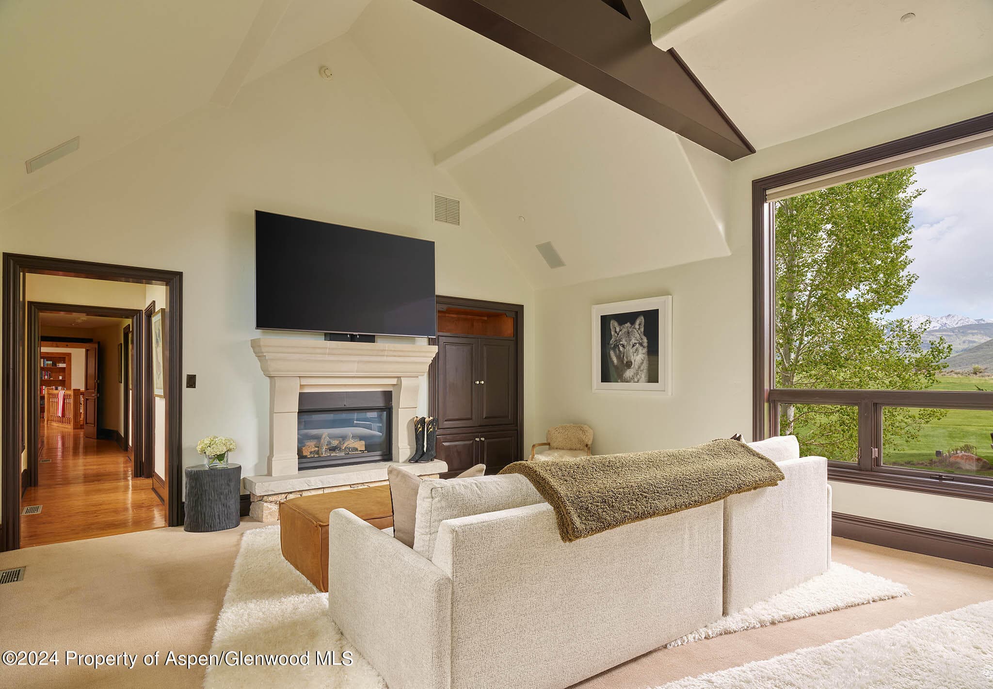 910 White Star Drive, Aspen, CO 81611 - Photo 17