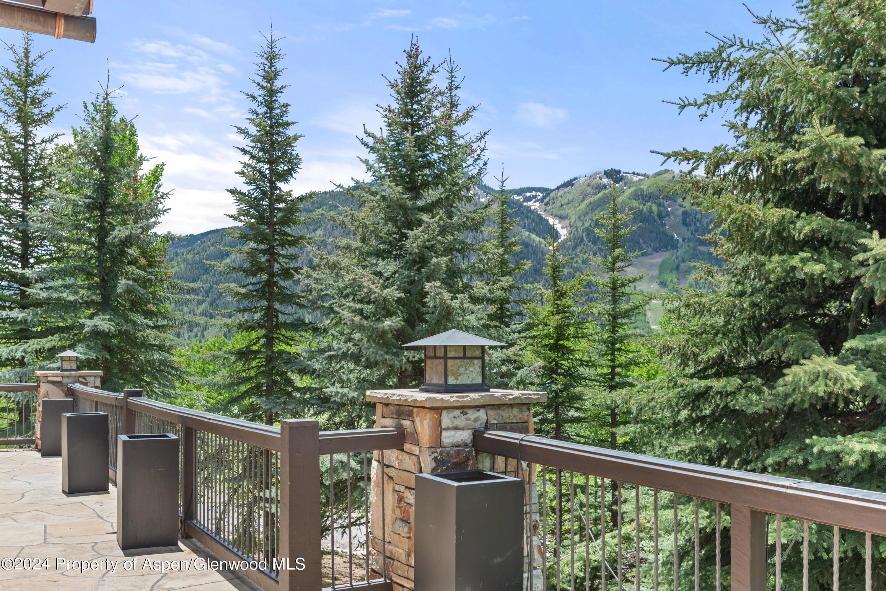 705 Spruce Street, Aspen, CO 81611 - Photo 37