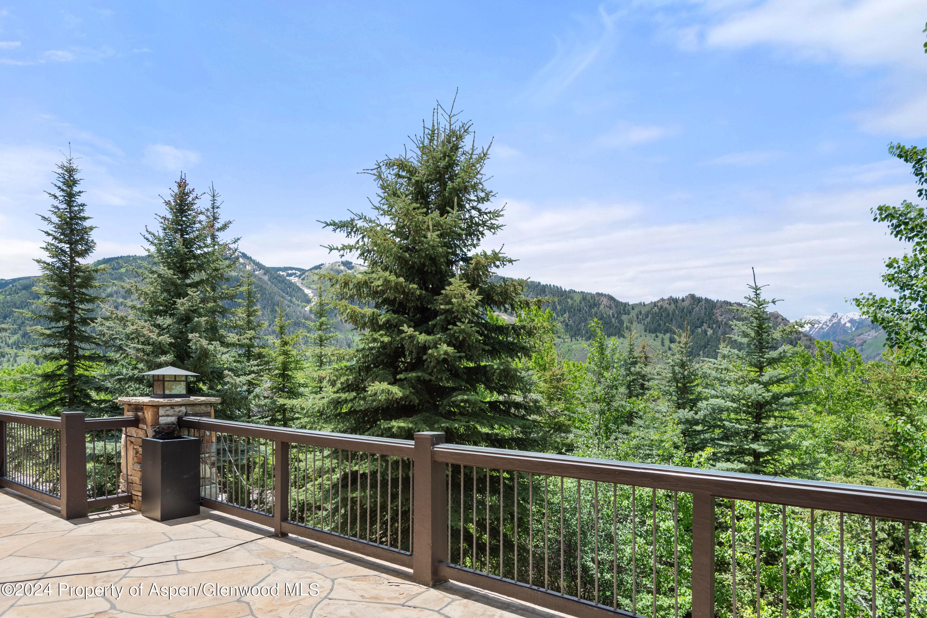 705 Spruce Street, Aspen, CO 81611 - Photo 38