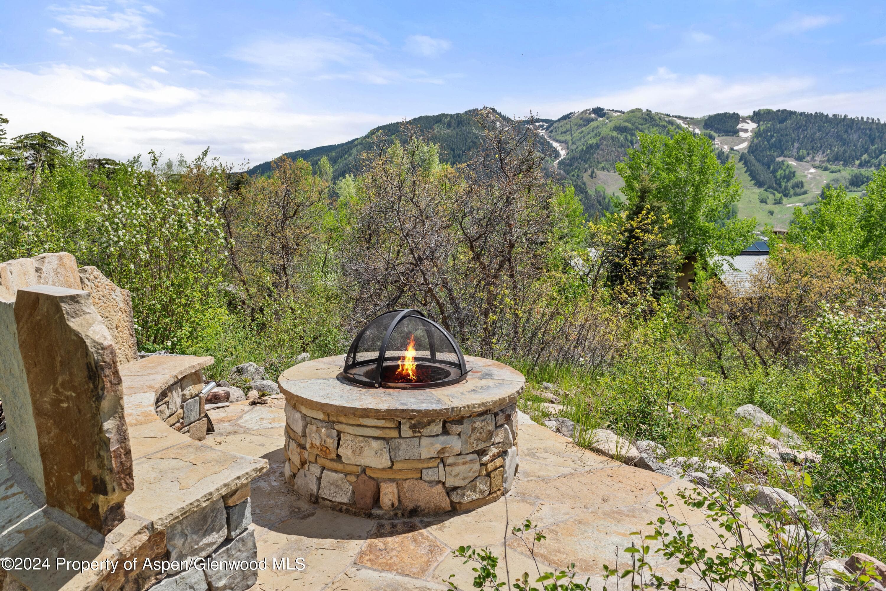 705 Spruce Street, Aspen, CO 81611 - Photo 44