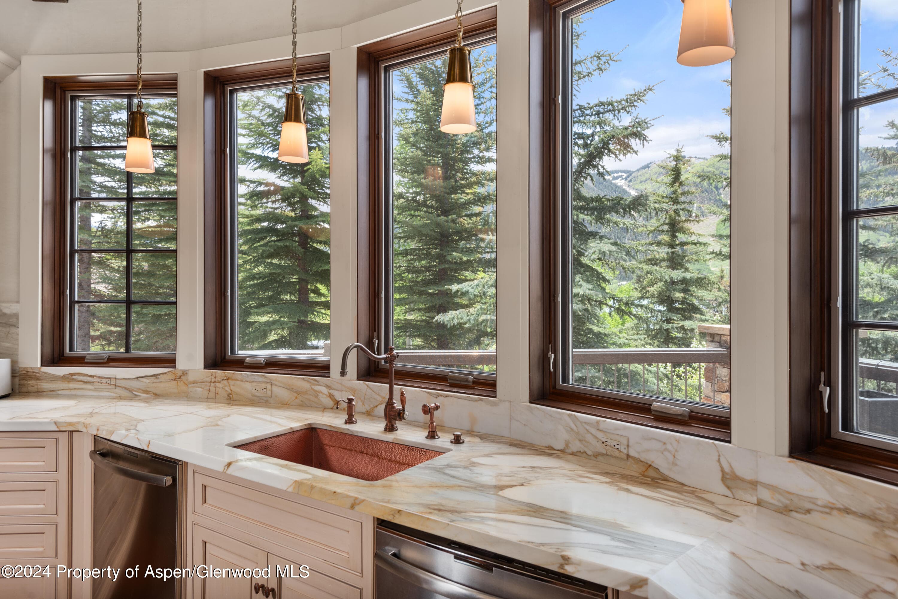 705 Spruce Street, Aspen, CO 81611 - Photo 15