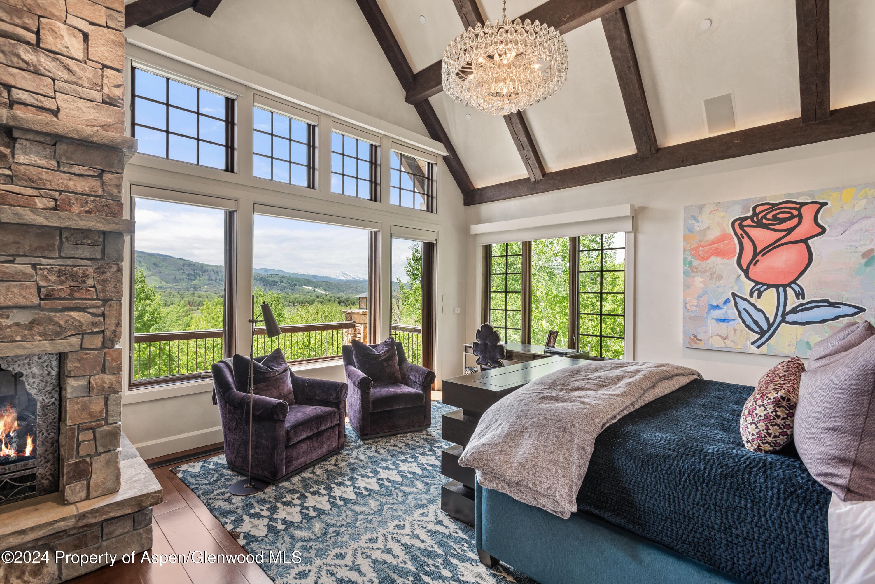 705 Spruce Street, Aspen, CO 81611 - Photo 23