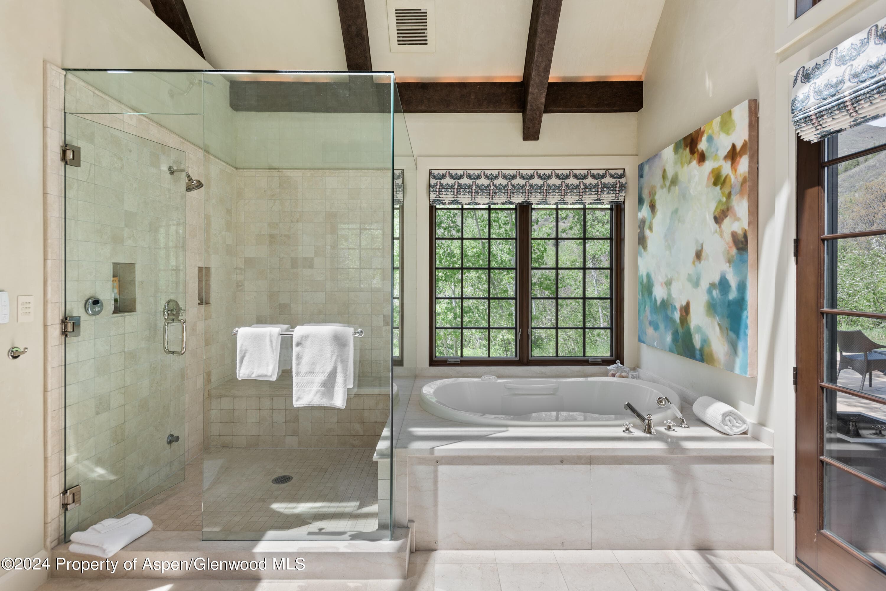 705 Spruce Street, Aspen, CO 81611 - Photo 25