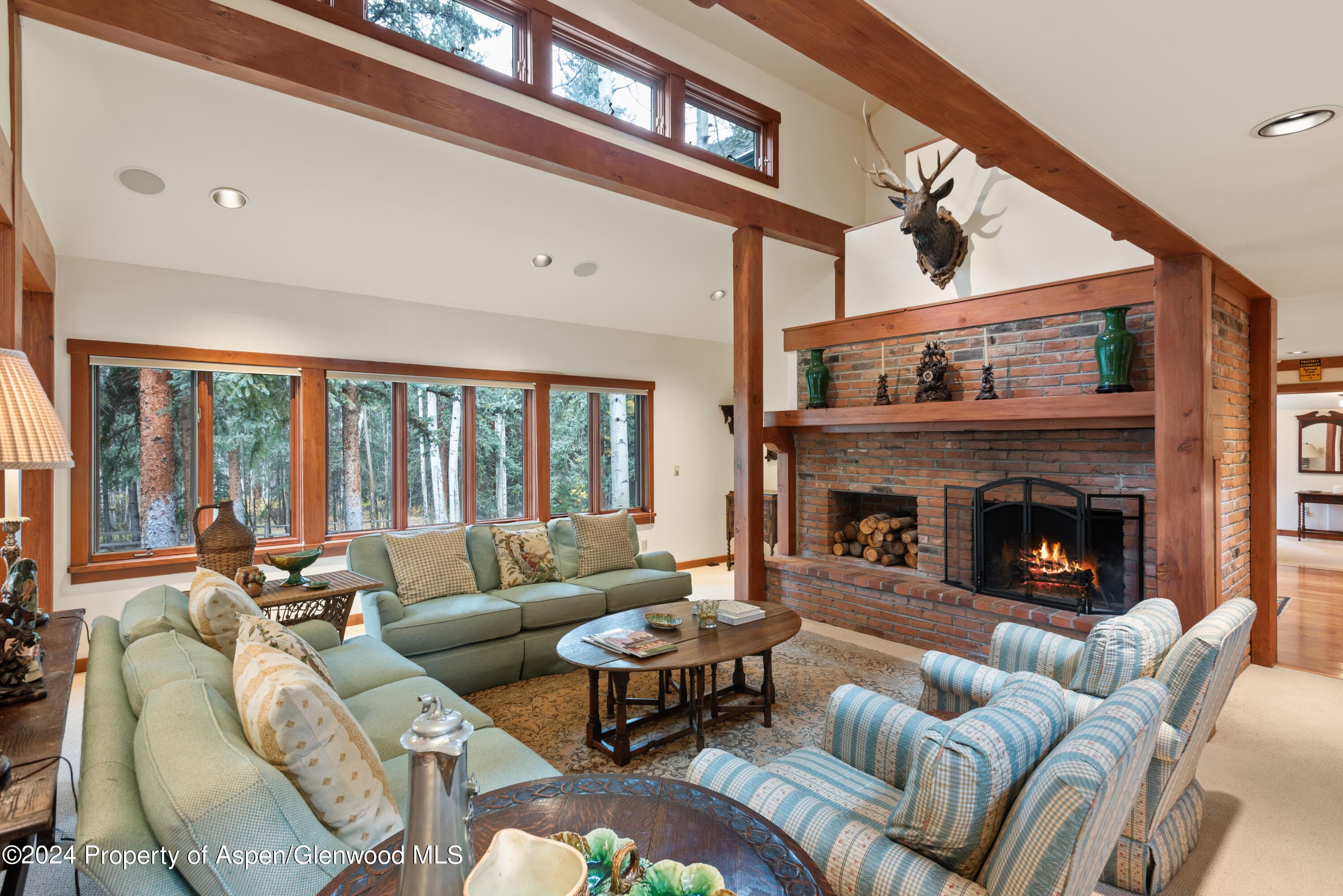 9676 Castle Creek Road, Aspen, CO 81611 - Photo 10