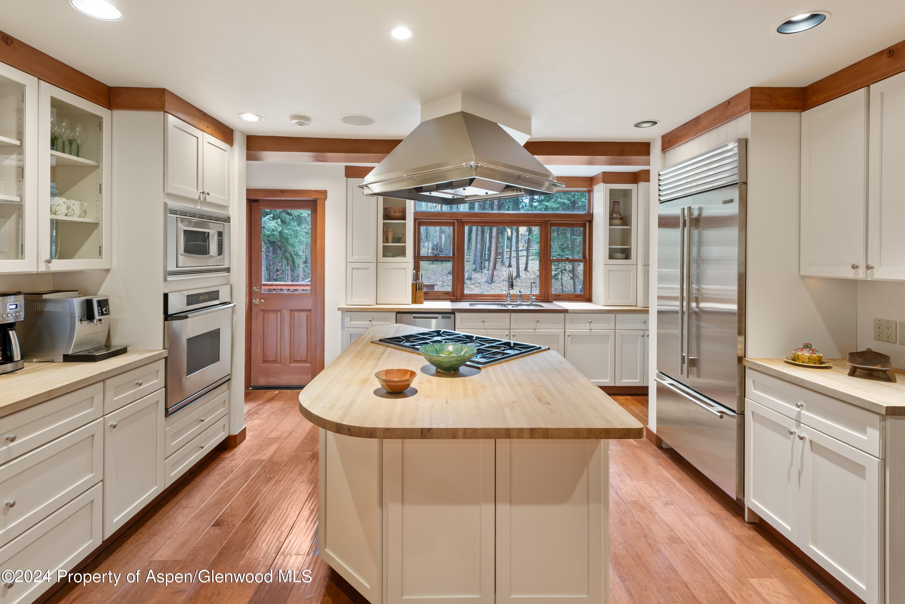 9676 Castle Creek Road, Aspen, CO 81611 - Photo 13