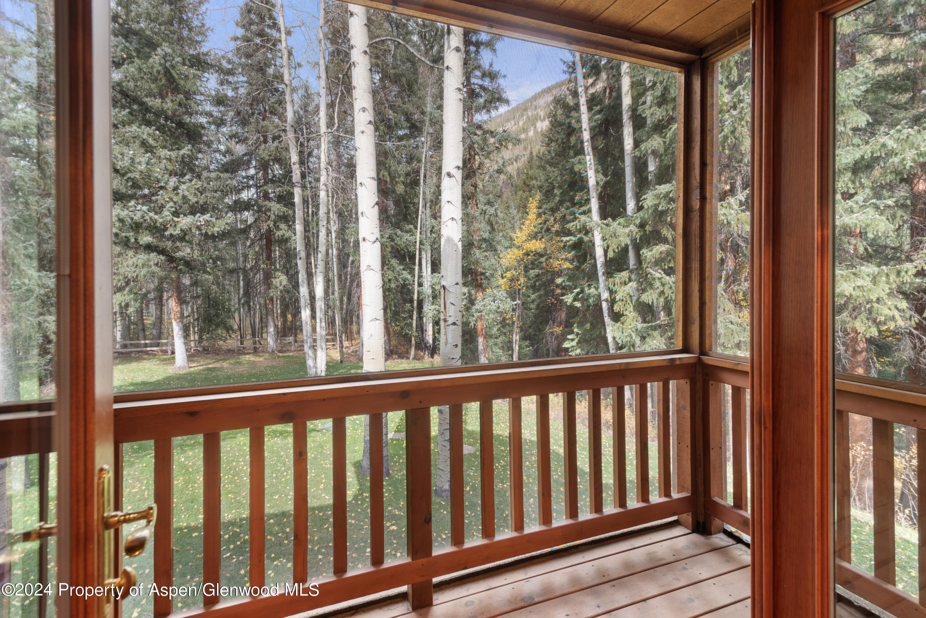 9676 Castle Creek Road, Aspen, CO 81611 - Photo 15
