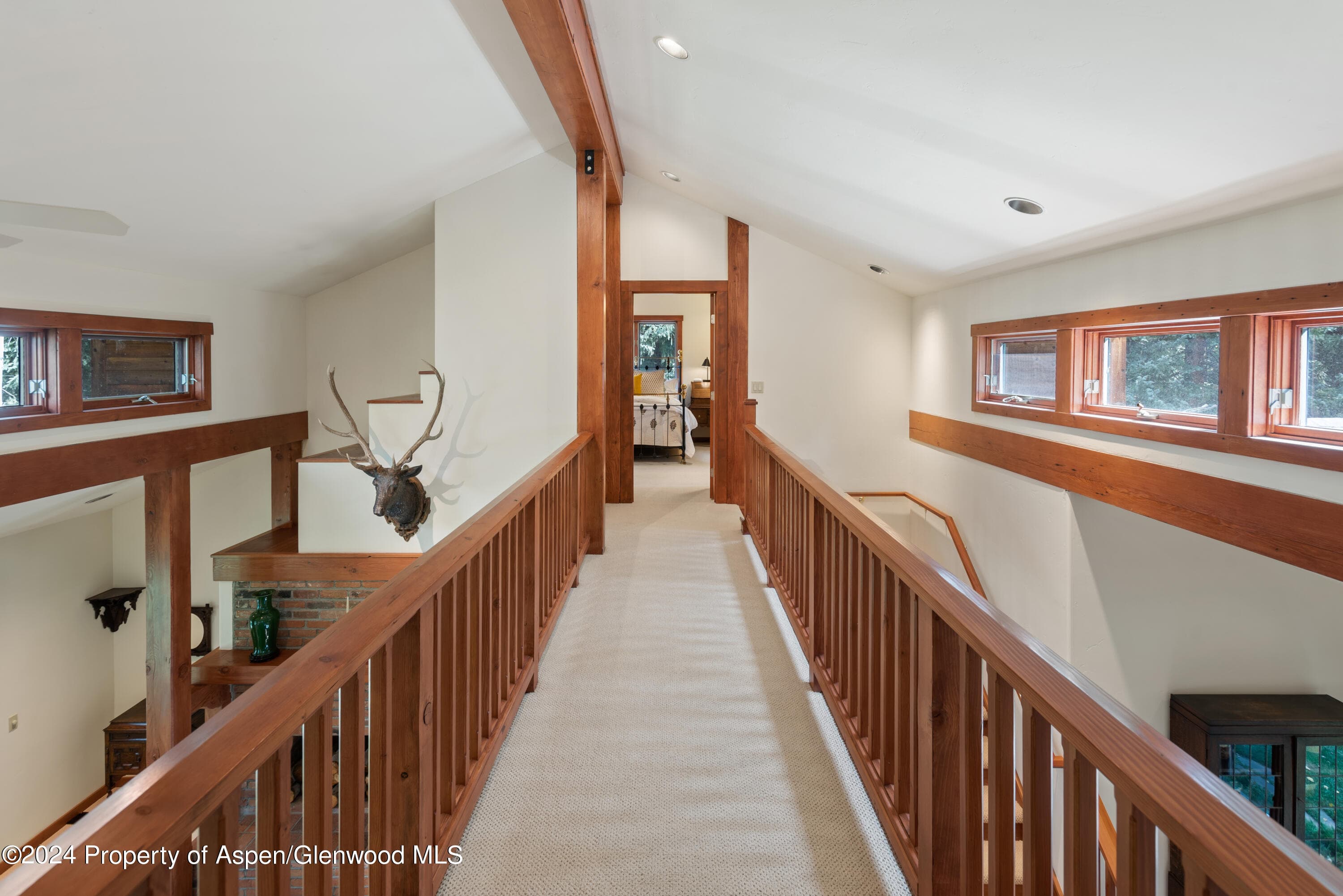 9676 Castle Creek Road, Aspen, CO 81611 - Photo 19