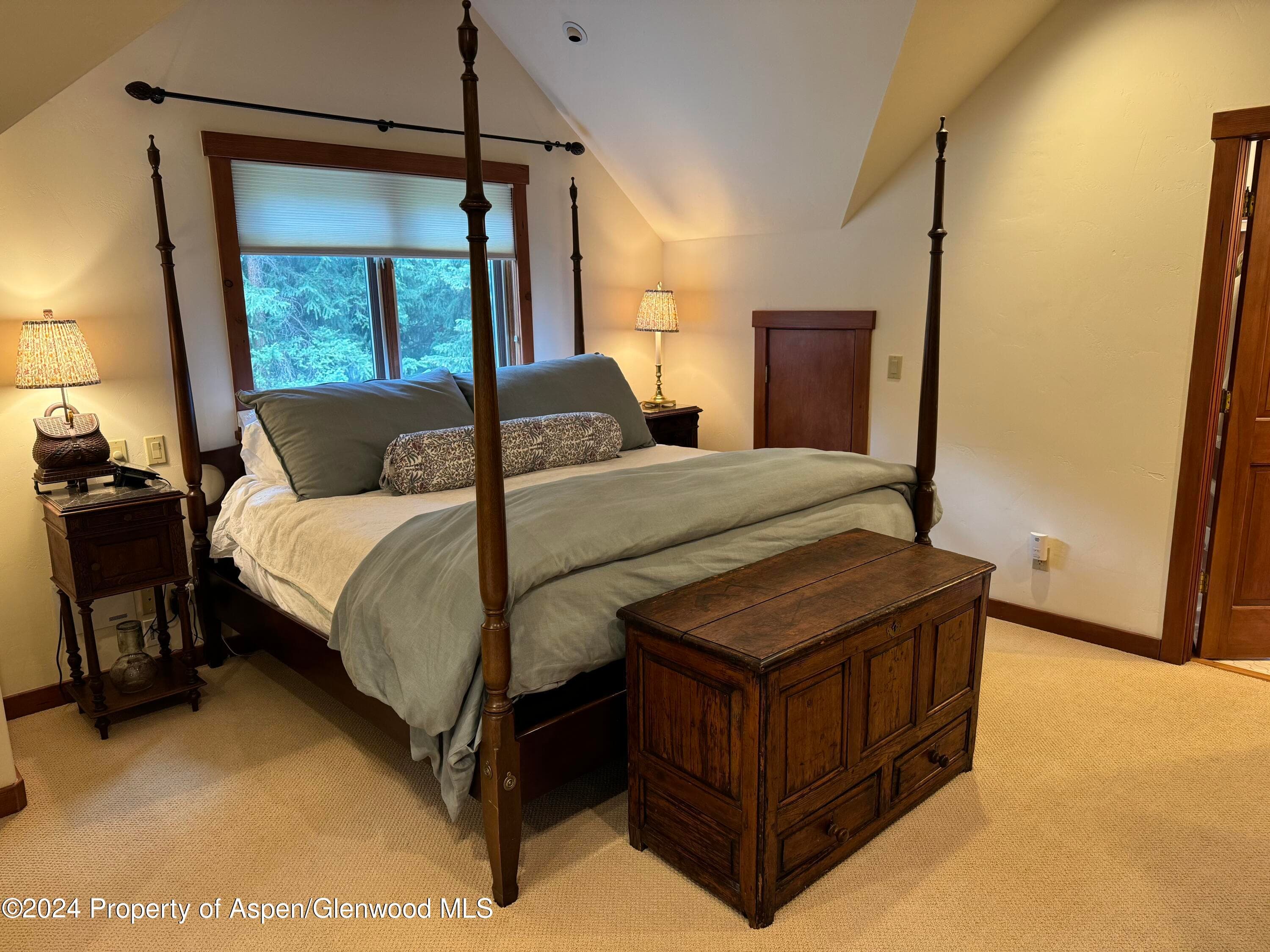 9676 Castle Creek Road, Aspen, CO 81611 - Photo 16